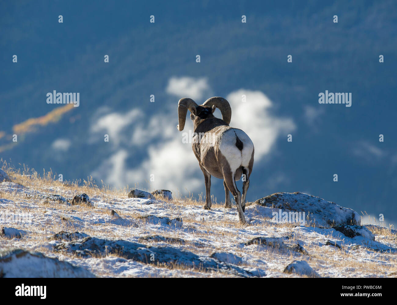 Nevadas durante la noche fotografías e imágenes de alta resolución - Página  6 - Alamy