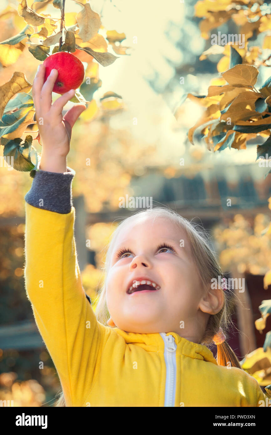 Bebé niña en traje de mono amarillo con el pelo rubio recoge y mordiscos  off come manzanas de temporada de cosecha en otoño jardín Fotografía de  stock - Alamy