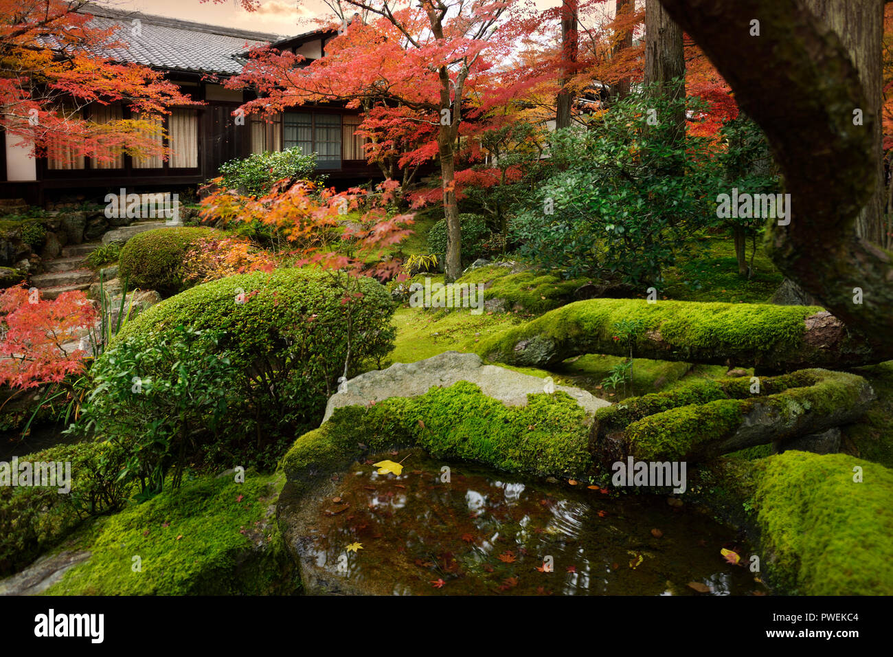 Licencia e impresiones en MaximImages.com - Tenju-an templo japonés sala principal en el paisaje otoñal de un jardín del templo con una antigua piedra musgosa agua Foto de stock