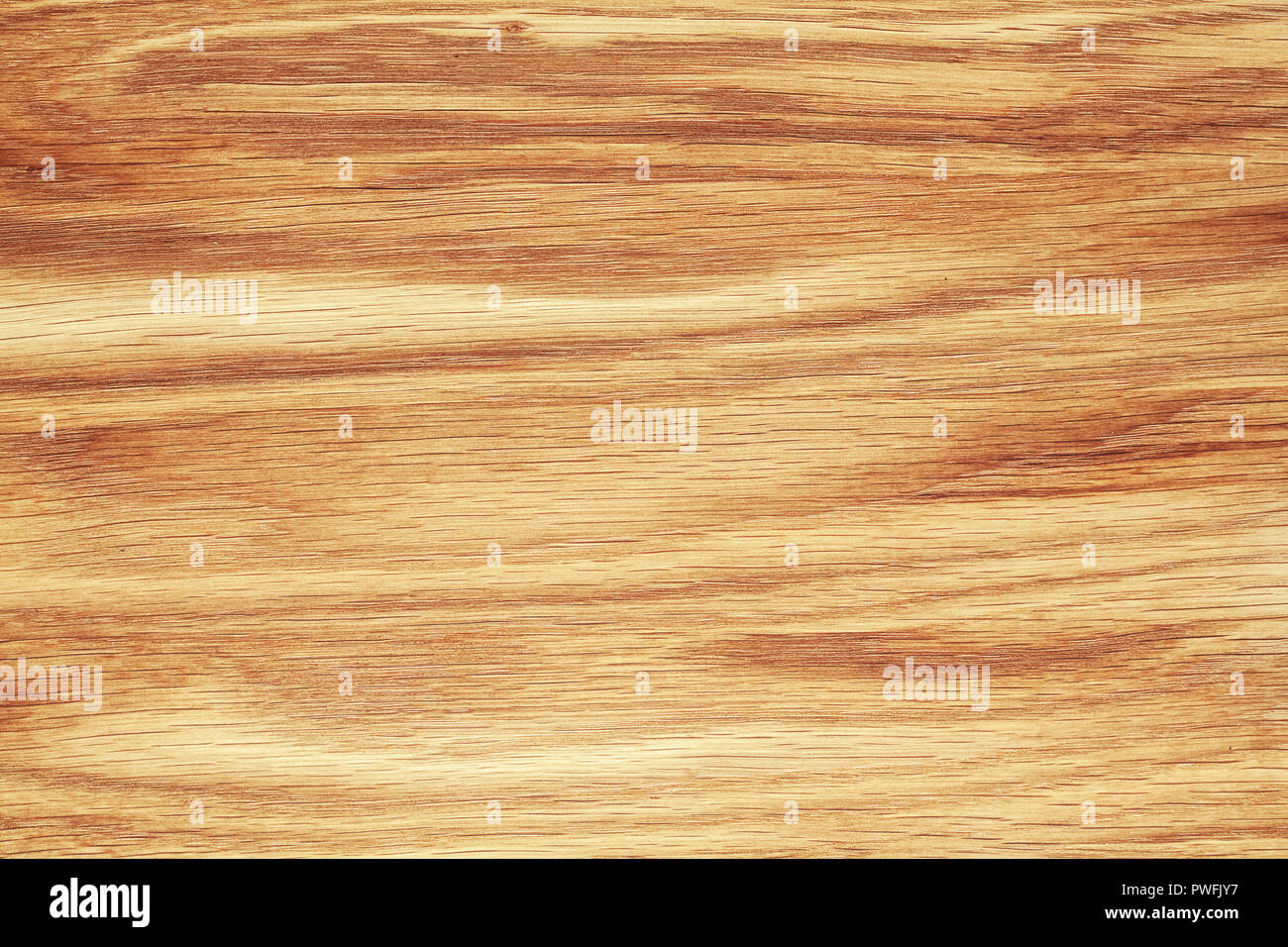 Textura de textura de lenga cerca. Fondo de madera natural Fotografía