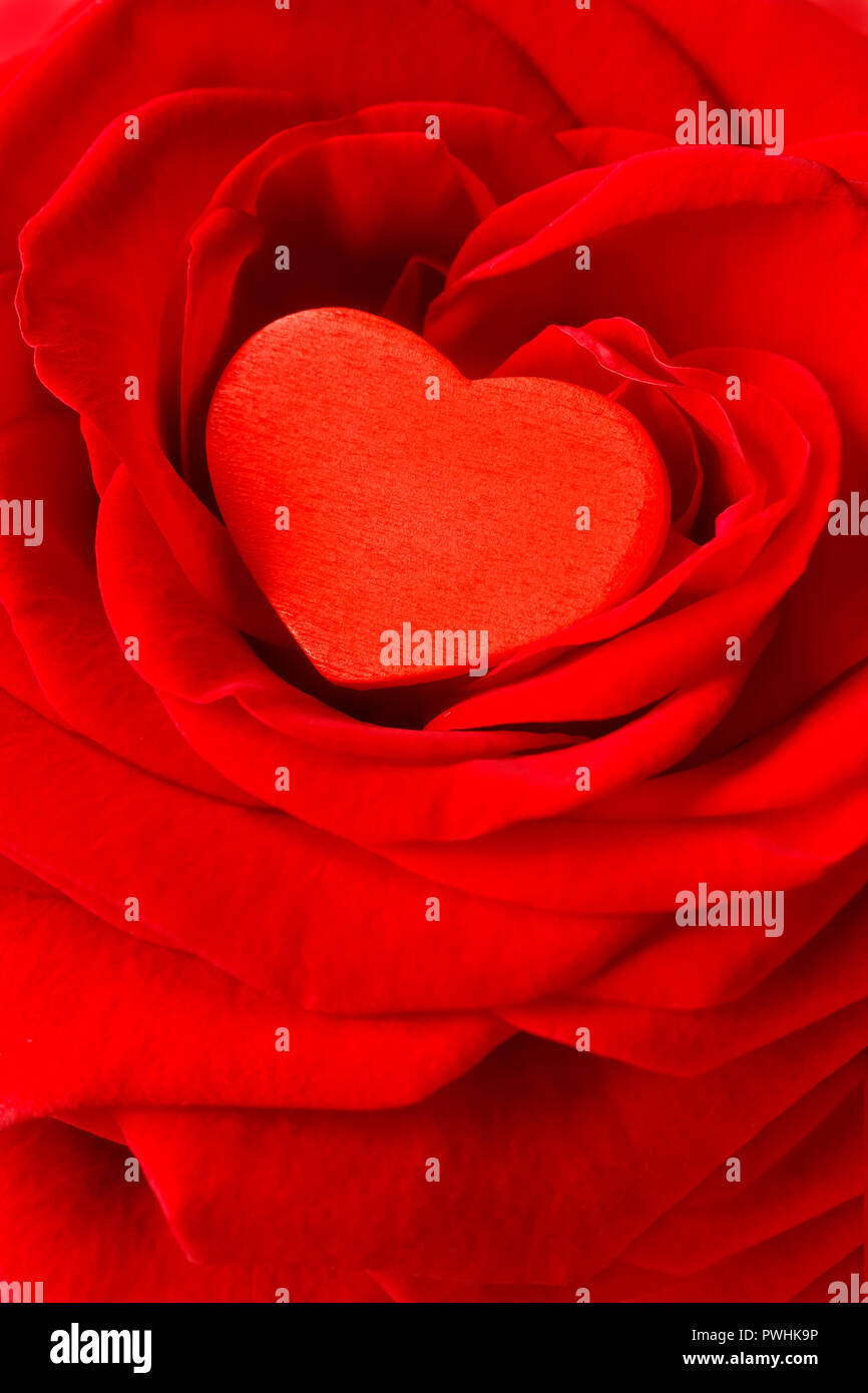 Corazón rojo en un rosa flor. Textura de fondo romántico para una boda el día de San Valentín o tarjetas de felicitación con espacio de texto. Foto de stock