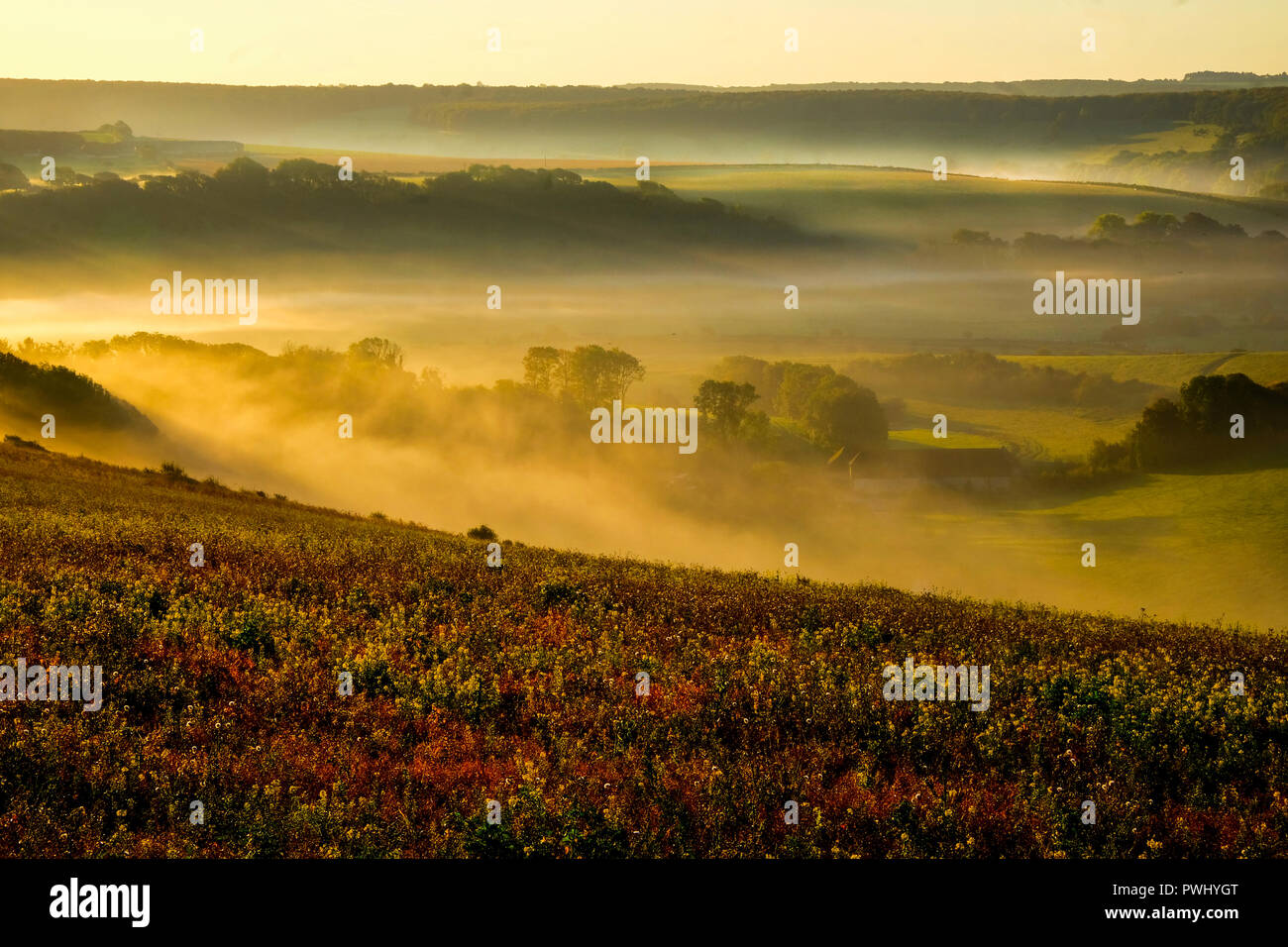 Valle Cuckmere, East Sussex, Reino Unido, UK, cubierto de niebla en la parte baja del valle con golden encendido colinas anteriormente con el sun shi Foto de stock