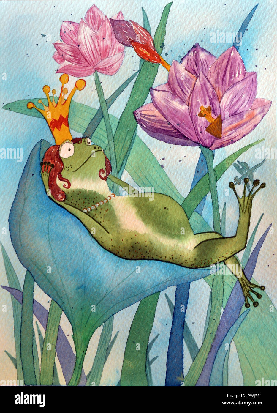 Rana en corona. Ilustración dibujo acuarela de mano de la Reina rana en lotos Foto de stock