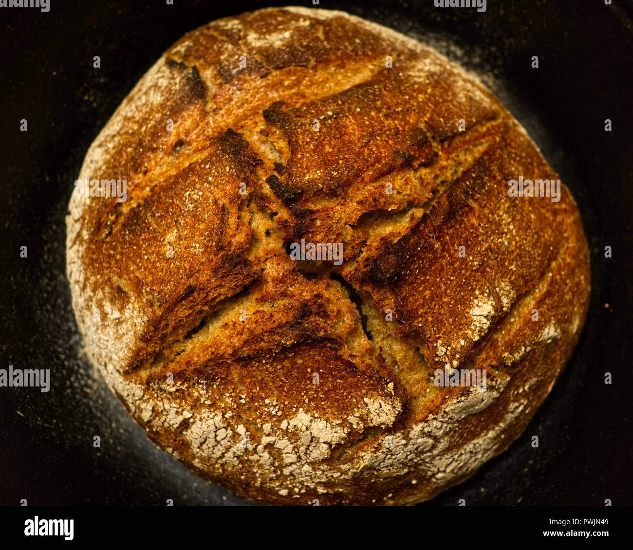 Grano entero caseras pan de masa fermentada acaba de salir del horno. Cocer en olla de hierro fundido. Foto de stock