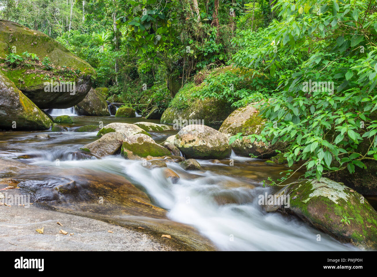Pequeño río cerca de Paraty y cascada Tobogã, Paraty, Brasil, América del Sur Foto de stock