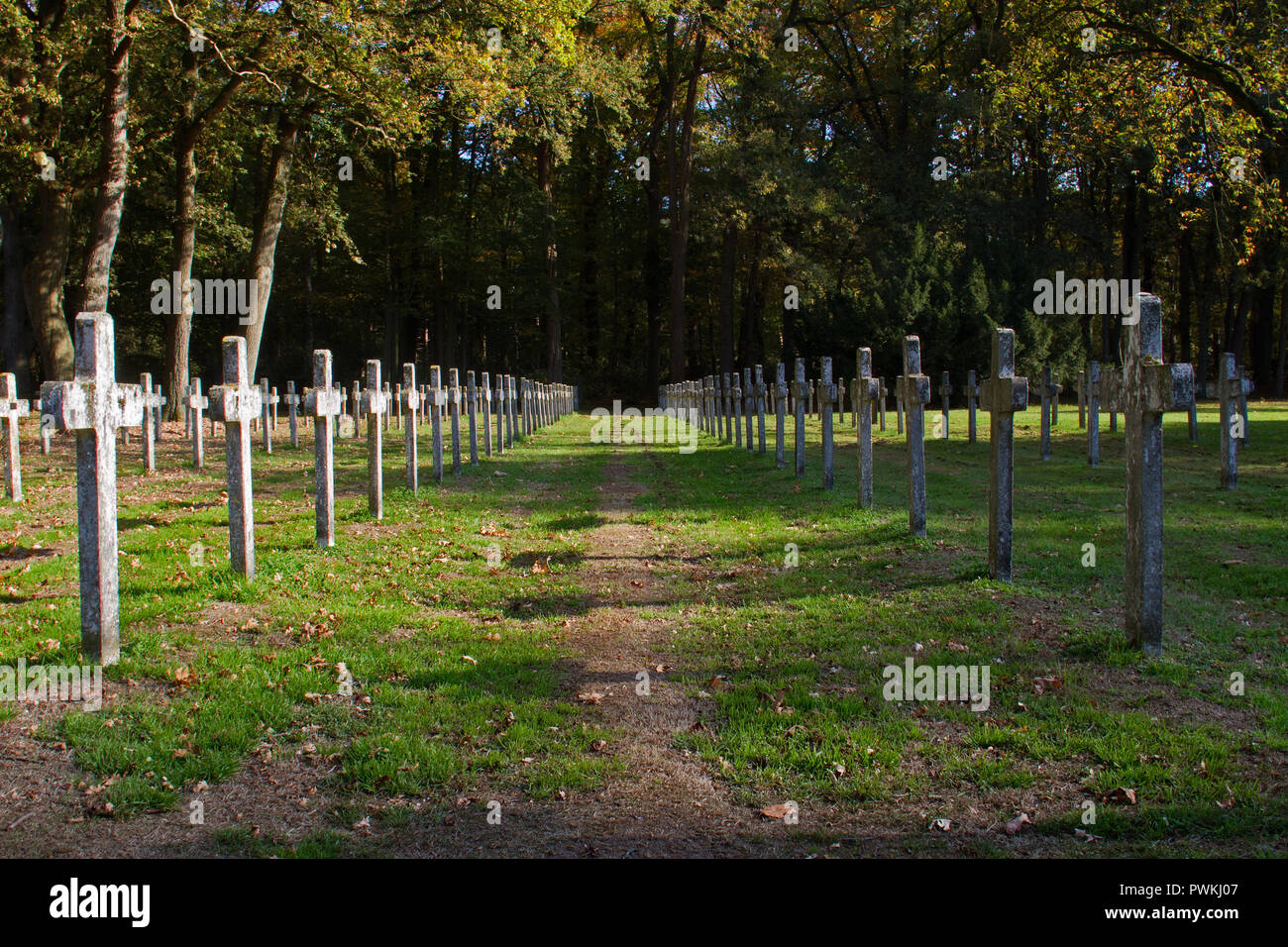 Filas de idéntico lápida, cruces de piedra en el cementerio Foto de stock
