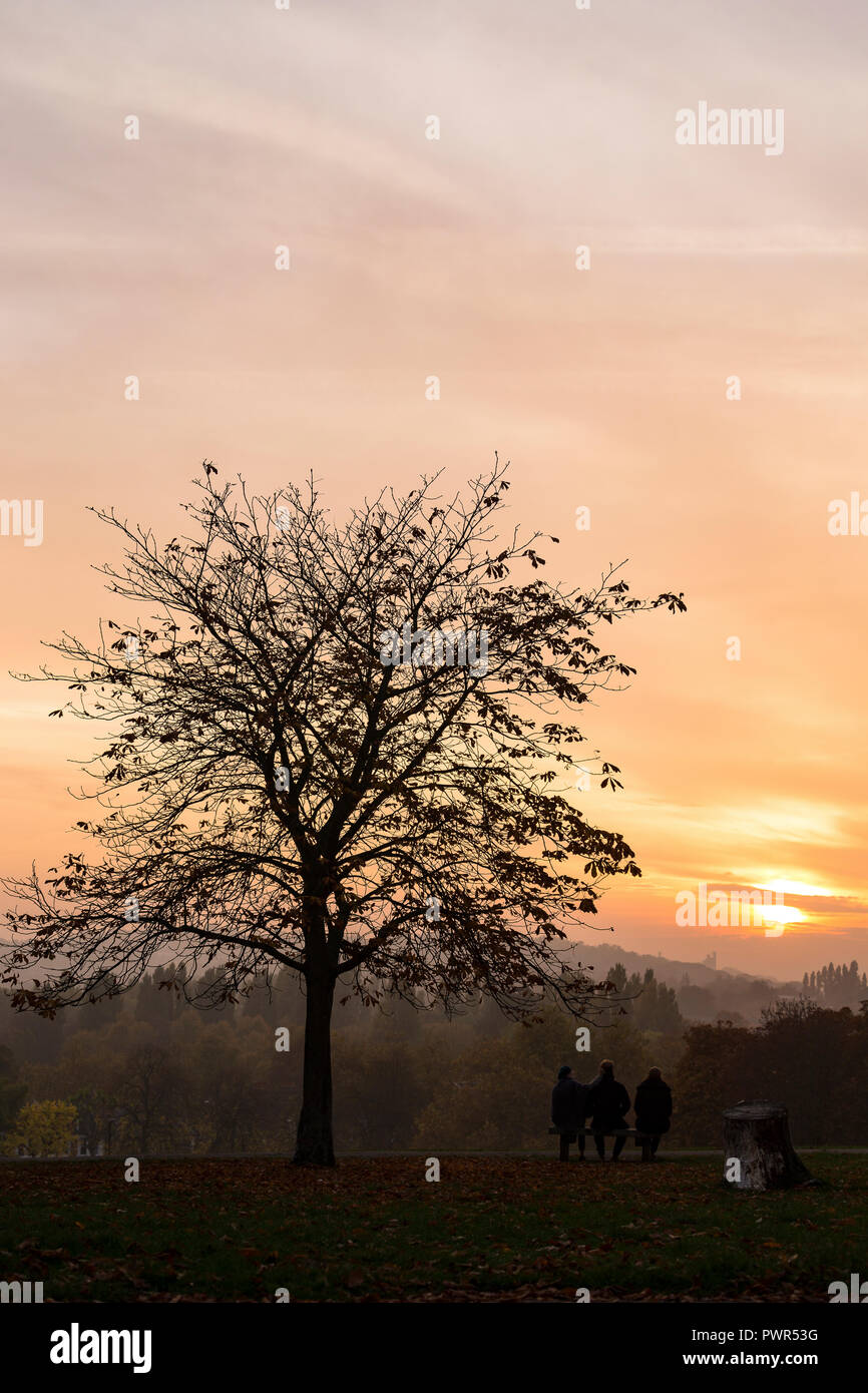 Tres personas sentadas en un banco bajo el árbol a finales de otoño y viendo la puesta de sol sobre el sureste de Londres, campos ondulados, Brockley, Londres Foto de stock