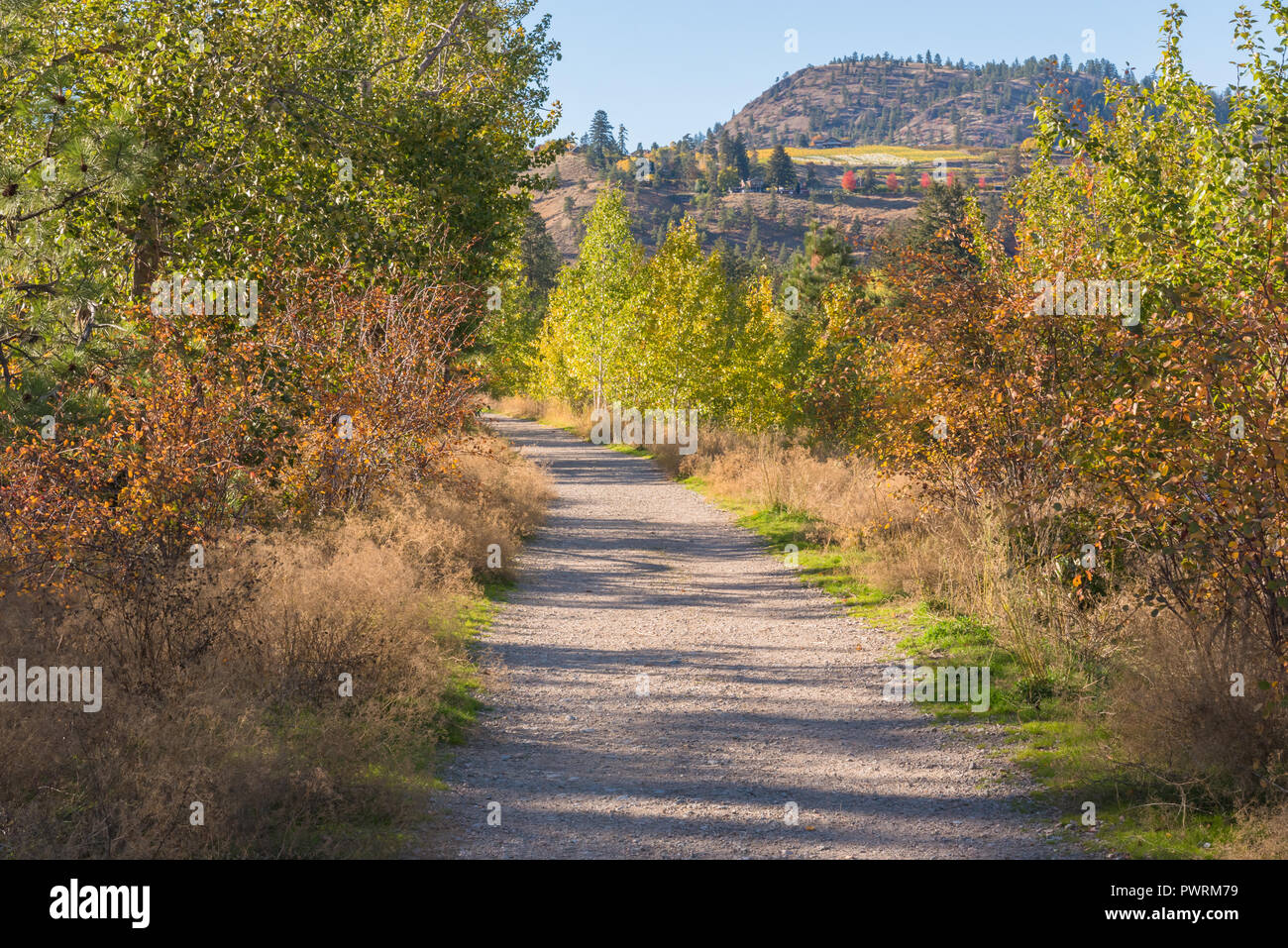 Kettle Valley Rail Trail a través del bosque de otoño en día soleado Foto de stock