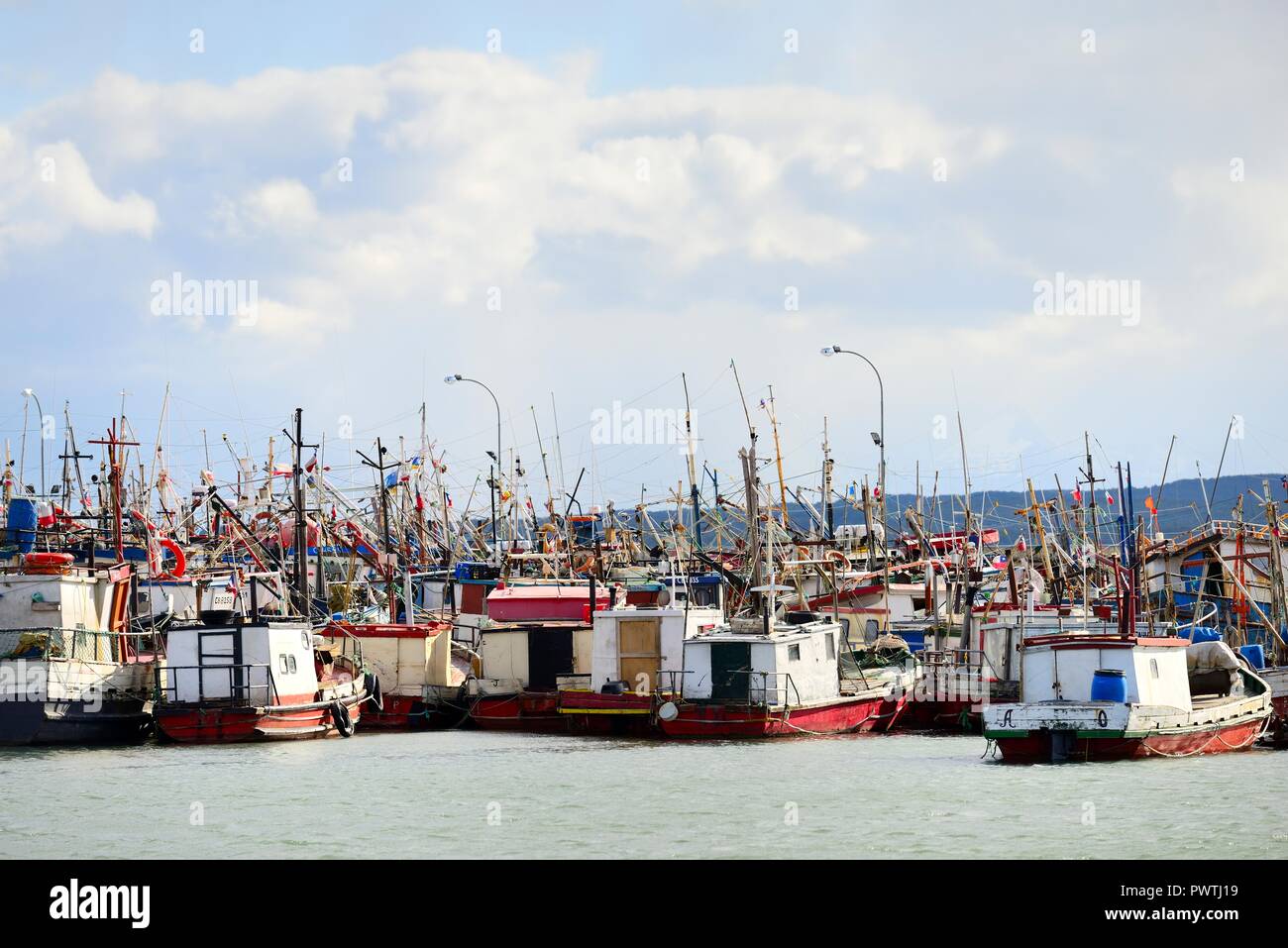 Muchos barcos de pesca en el puerto, Puerto Natales, provincia Última Esperanza, Chile Foto de stock