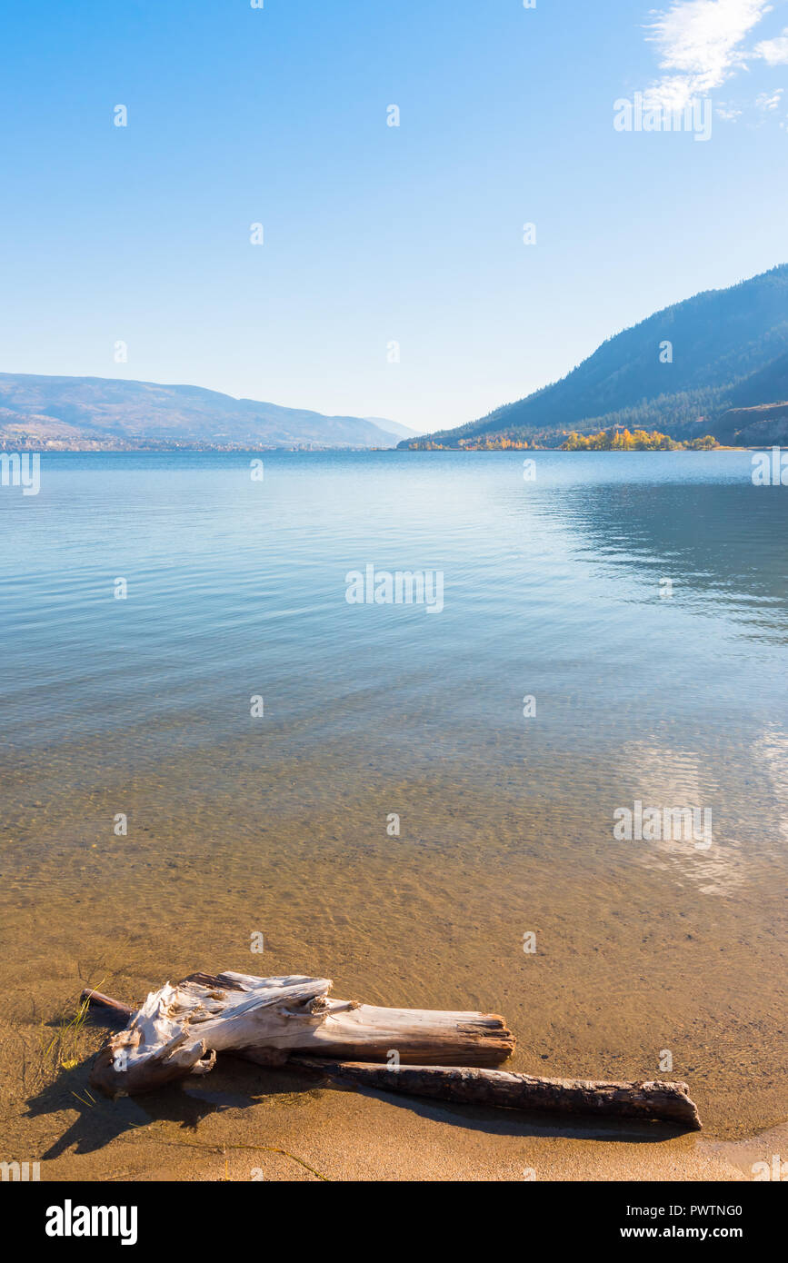 Las aguas tranquilas del lago Okanagan reflejando el cielo azul y las montañas con playa y driftwood en primer plano Foto de stock