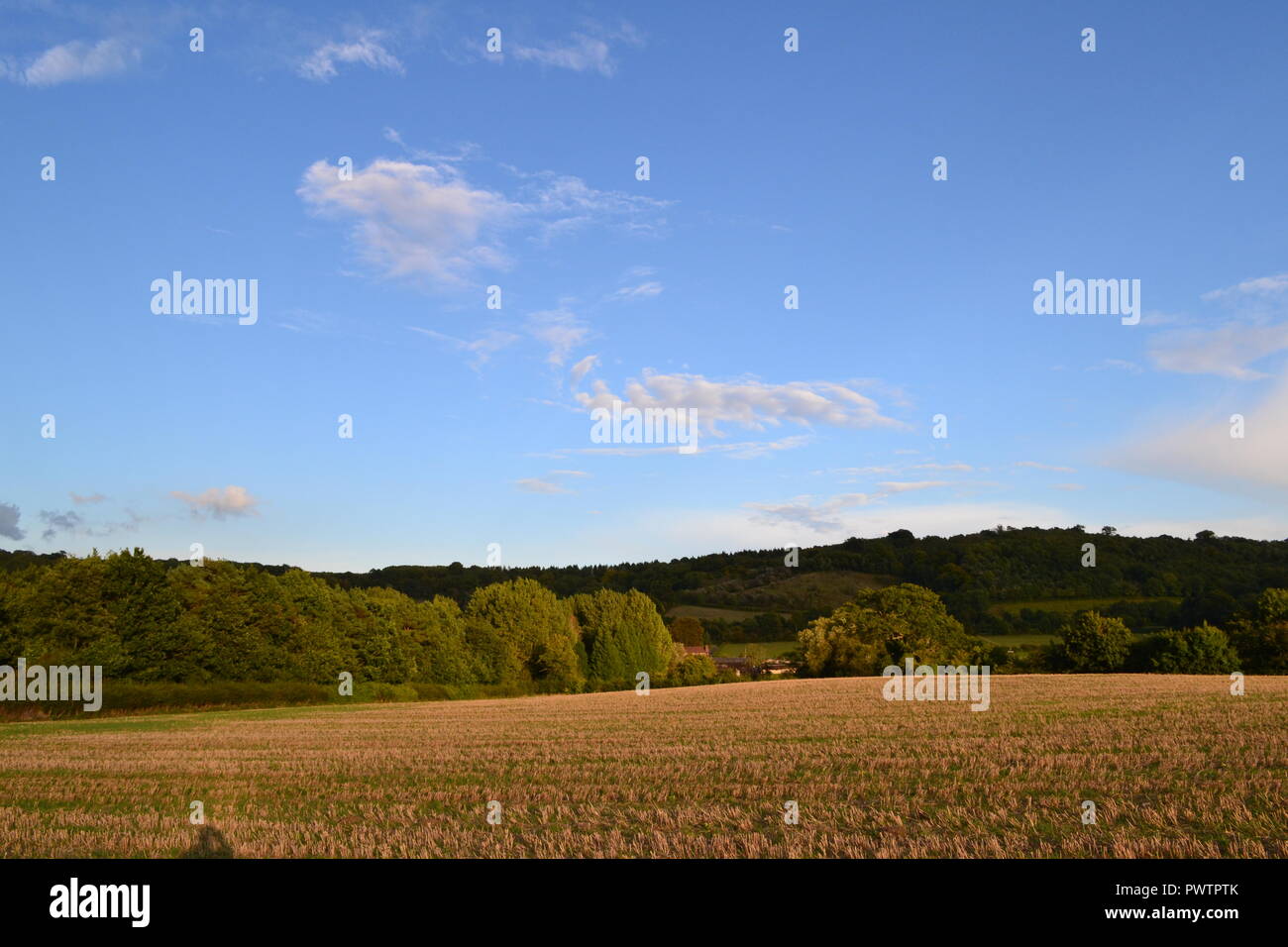 Hermosa tarde afernoon sol ilumina parte de un campo y bosque en Darent Valley, cerca de Shoreham, Kent, Inglaterra, Reino Unido en septiembre de 2017. En otoño. Foto de stock