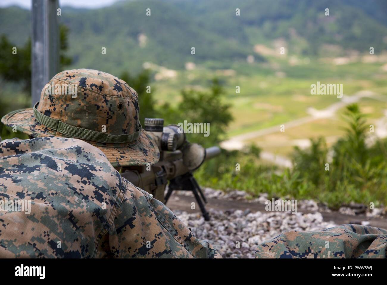 El Sargento de Marina de los EE.UU. Cody L. pilas, un francotirador Scout asignado a la empresa de armas, 3º Batallón, 8º Regimiento de la Infantería de Marina, desplegadas a la 3ª División de Infantería de Marina, como parte del Programa de Implementación de la unidad de avance, dispara el M110 Sistema de francotirador semiautomático (M-110 SASS) en Rodríguez el fuego vivo complejo, Corea del Sur, 27 de junio de 2017. El M110 es un 7,62 mm, largo alcance semiautomático rifle utilizado por el ejército estadounidense. Foto de stock