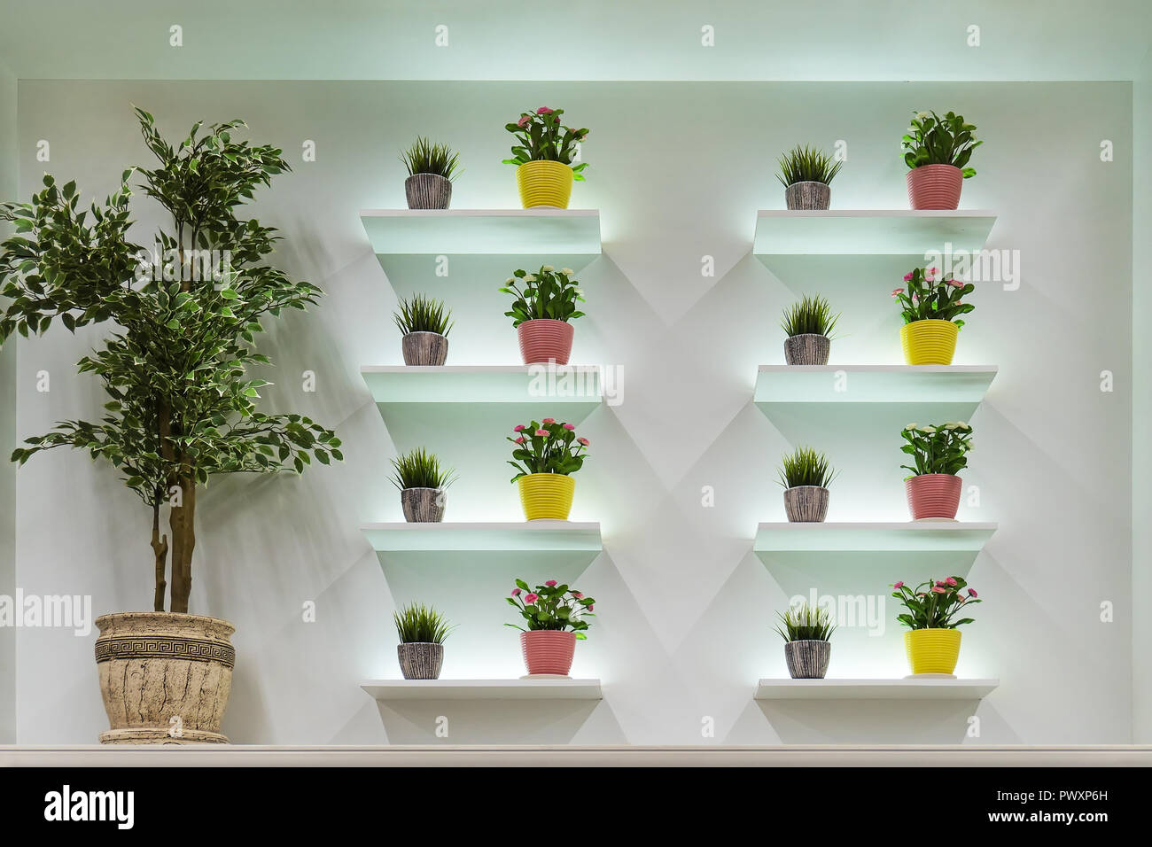 Estantes Sobre La Pared Blanca Y Verde De Las Plantas En Maceta