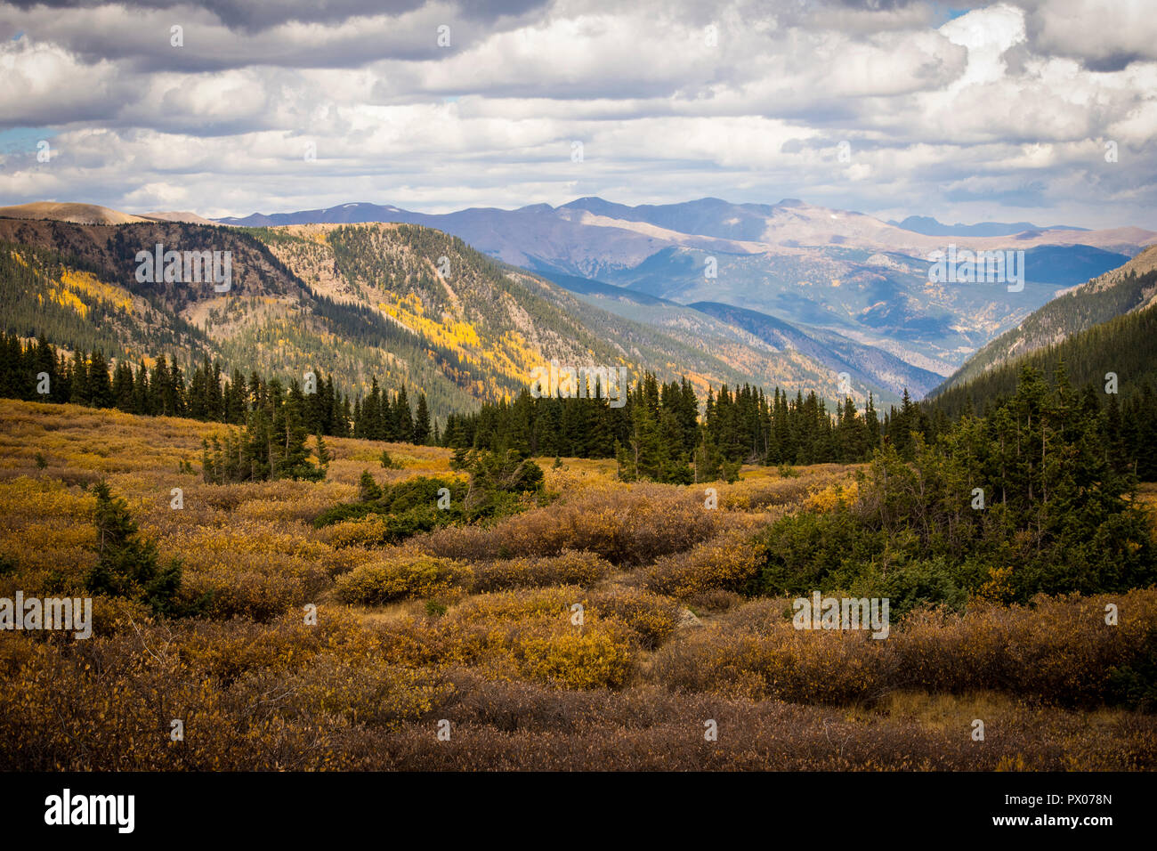 Las Montañas Rocosas de Colorado, cerca de Denver, EE.UU Fotografía de  stock - Alamy