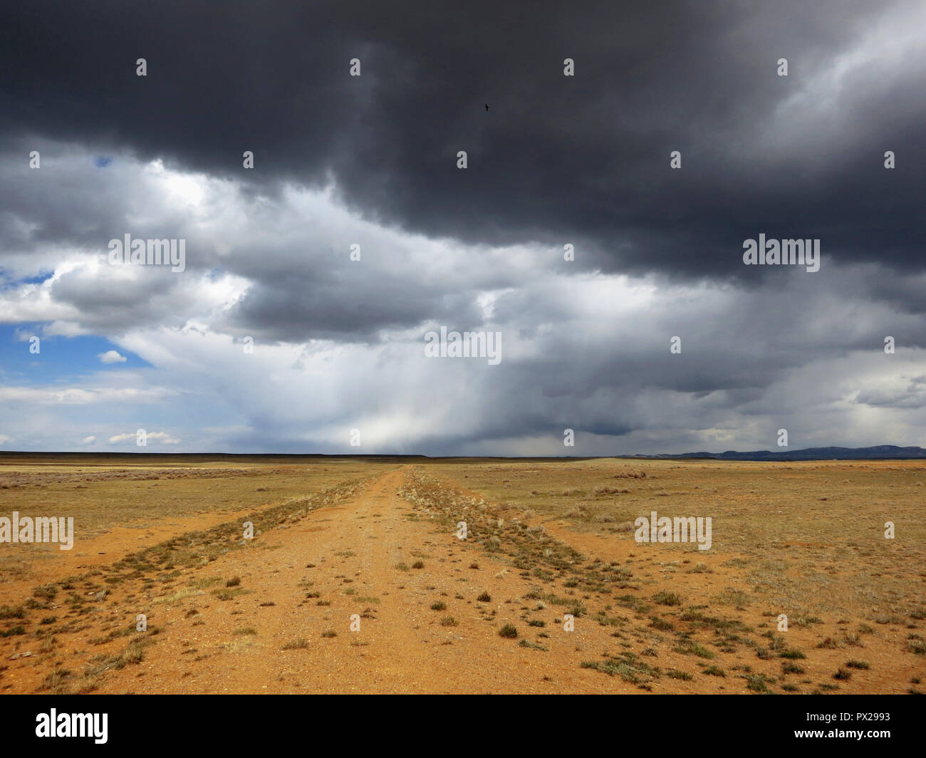 Camino de tierra remota en el este de Wyoming, EE.UU. Foto de stock