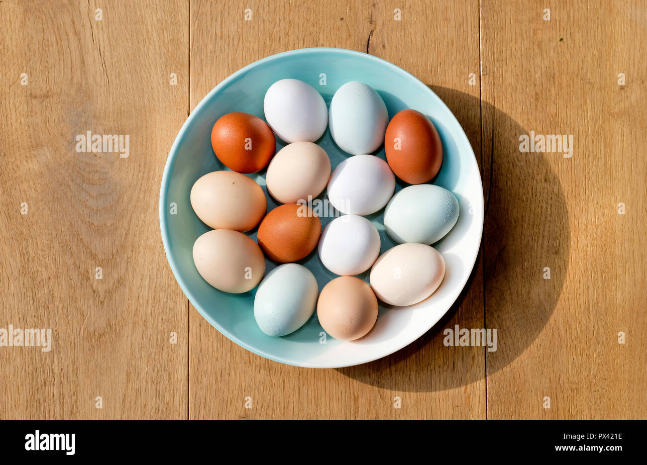 Un plato de pollo, huevos de diferentes colores visto desde arriba Foto de stock