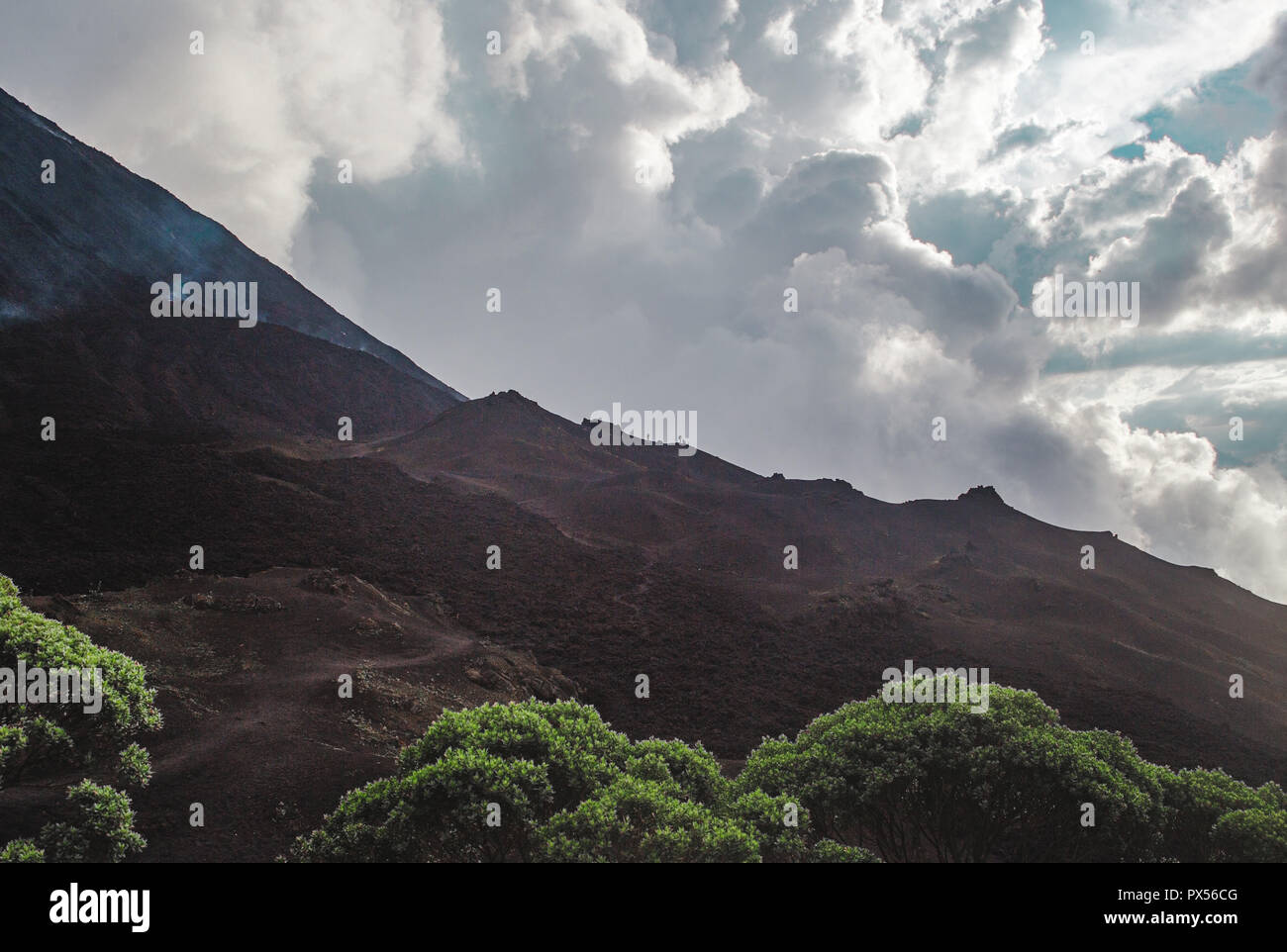 Los turistas caminata el cambiante paisaje alrededor del Volcán Pacaya, uno de los volcanes más activos de Guatemala, de roca volcánica negra de exuberantes y verdes fores Foto de stock