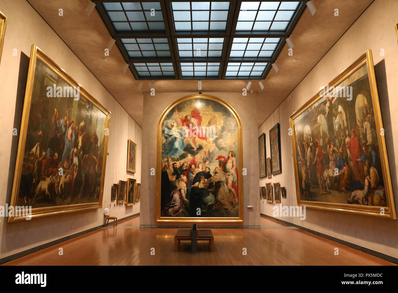 Museo de Bellas Artes de Lyon, Francia. Foto de stock