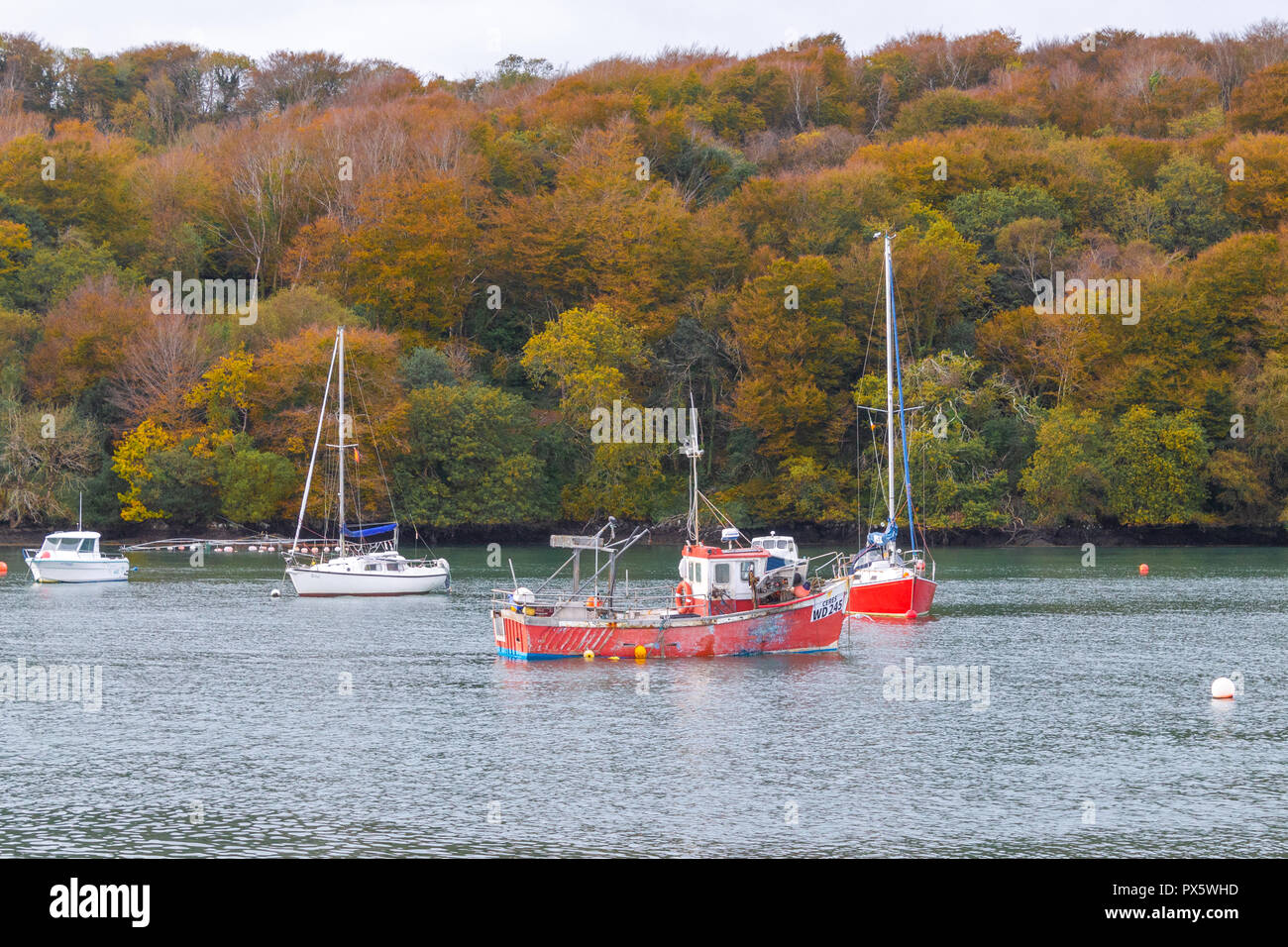 Los amarillos y marrones de otoño las hojas u hoja de colores o Colores de los árboles que crecen junto a un estuario. Foto de stock