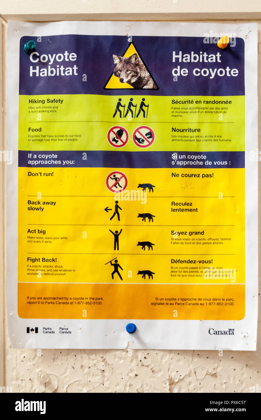 Un signo de Parks Canada advierte de Coyote en Parque Nacional Terra Nova en Terranova. Foto de stock
