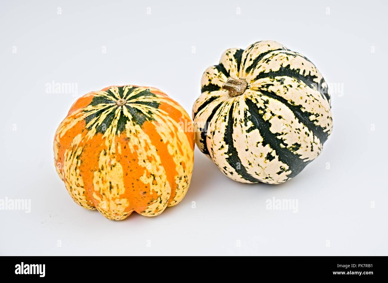 Colorida selección de calabaza para Halloween sobre fondo blanco. Foto de stock