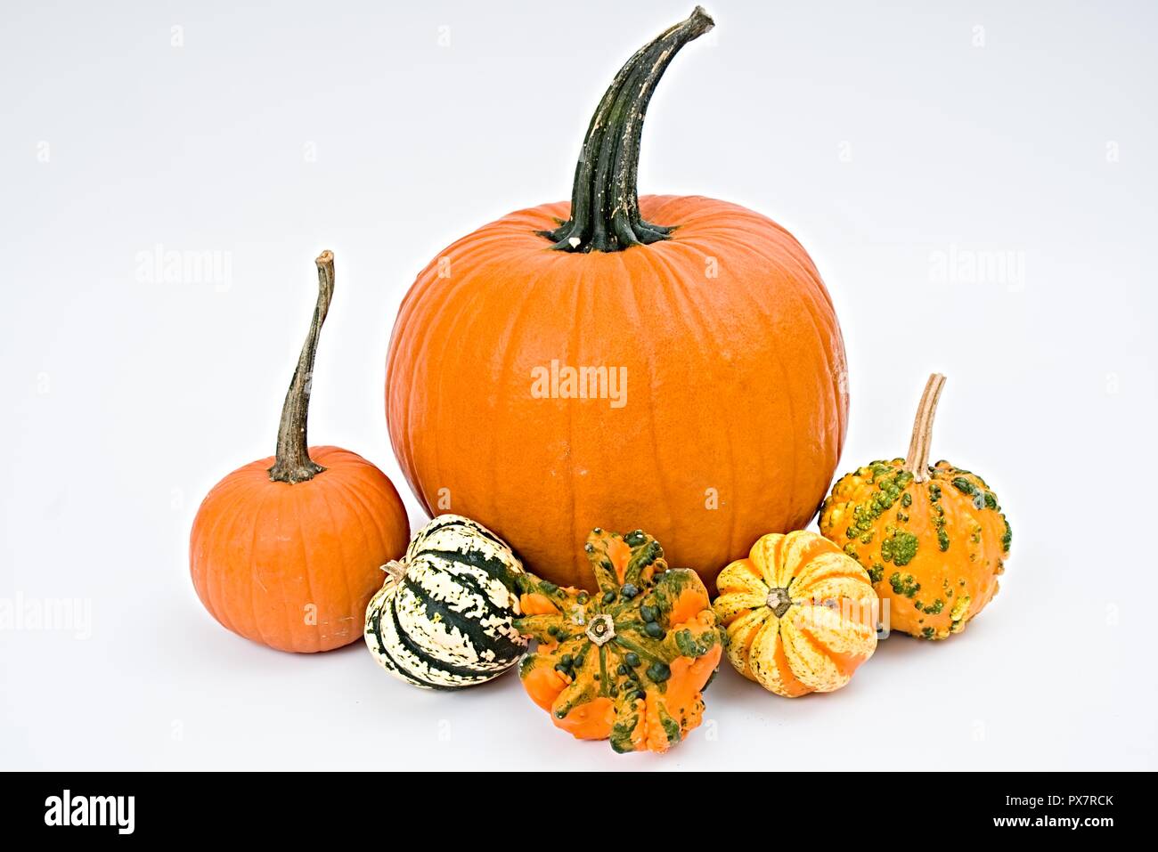 Colorida selección de calabaza para Halloween sobre fondo blanco. Foto de stock