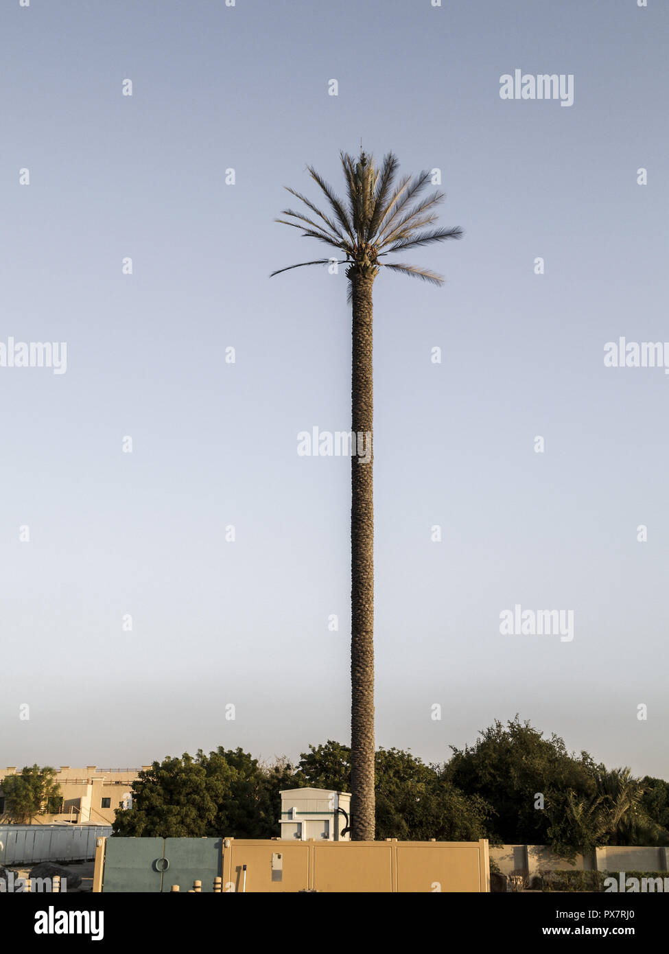Dubai, antena móvil en forma de palmeras, Emiratos Arabes Unidos Foto de stock