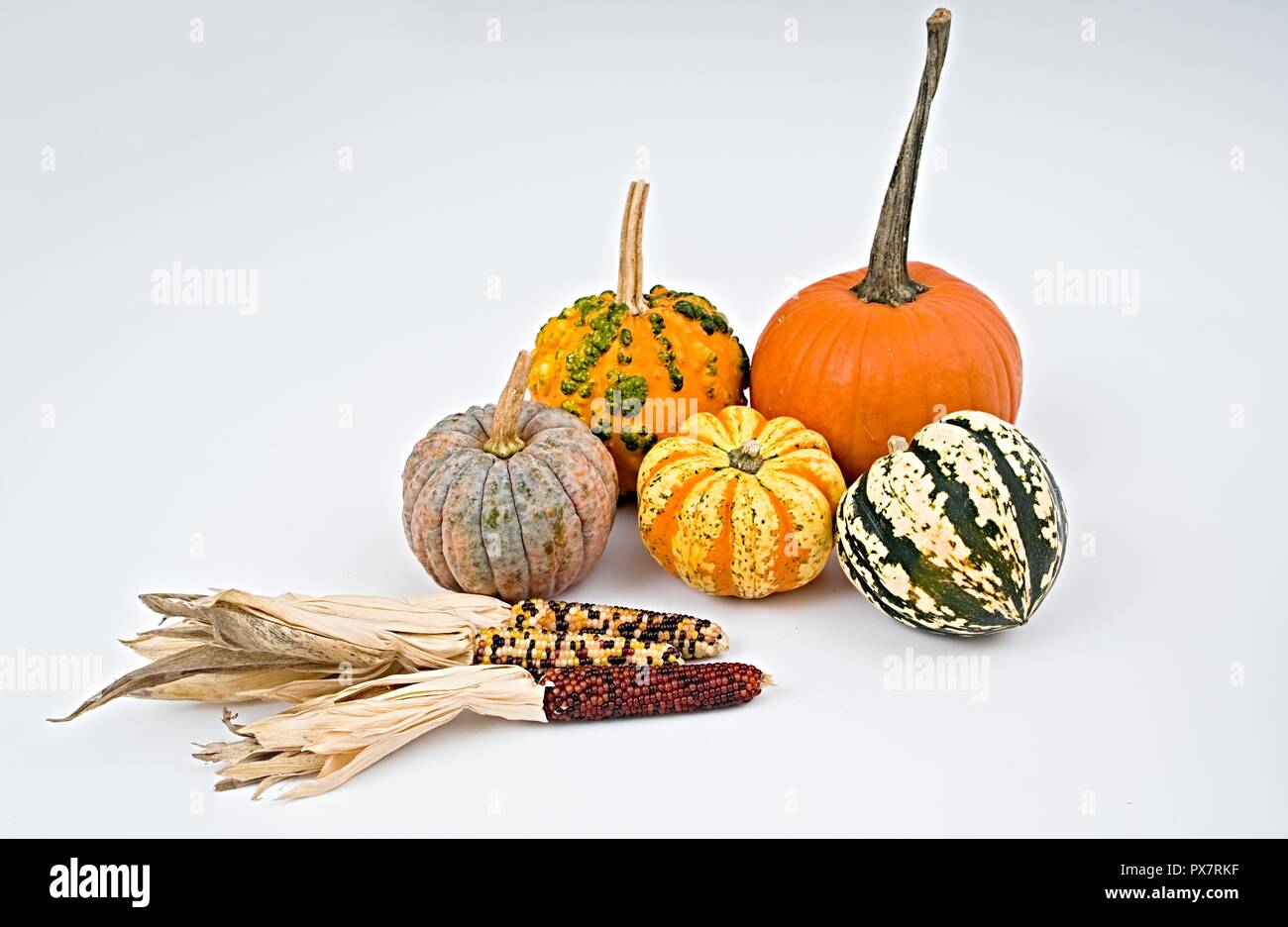 Colorida selección de calabaza para Halloween sobre fondo blanco. Foto de stock