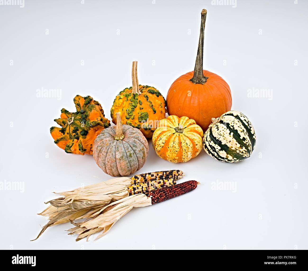 Colorida selección de calabaza para Halloween sobre fondo blanco. Foto de stock