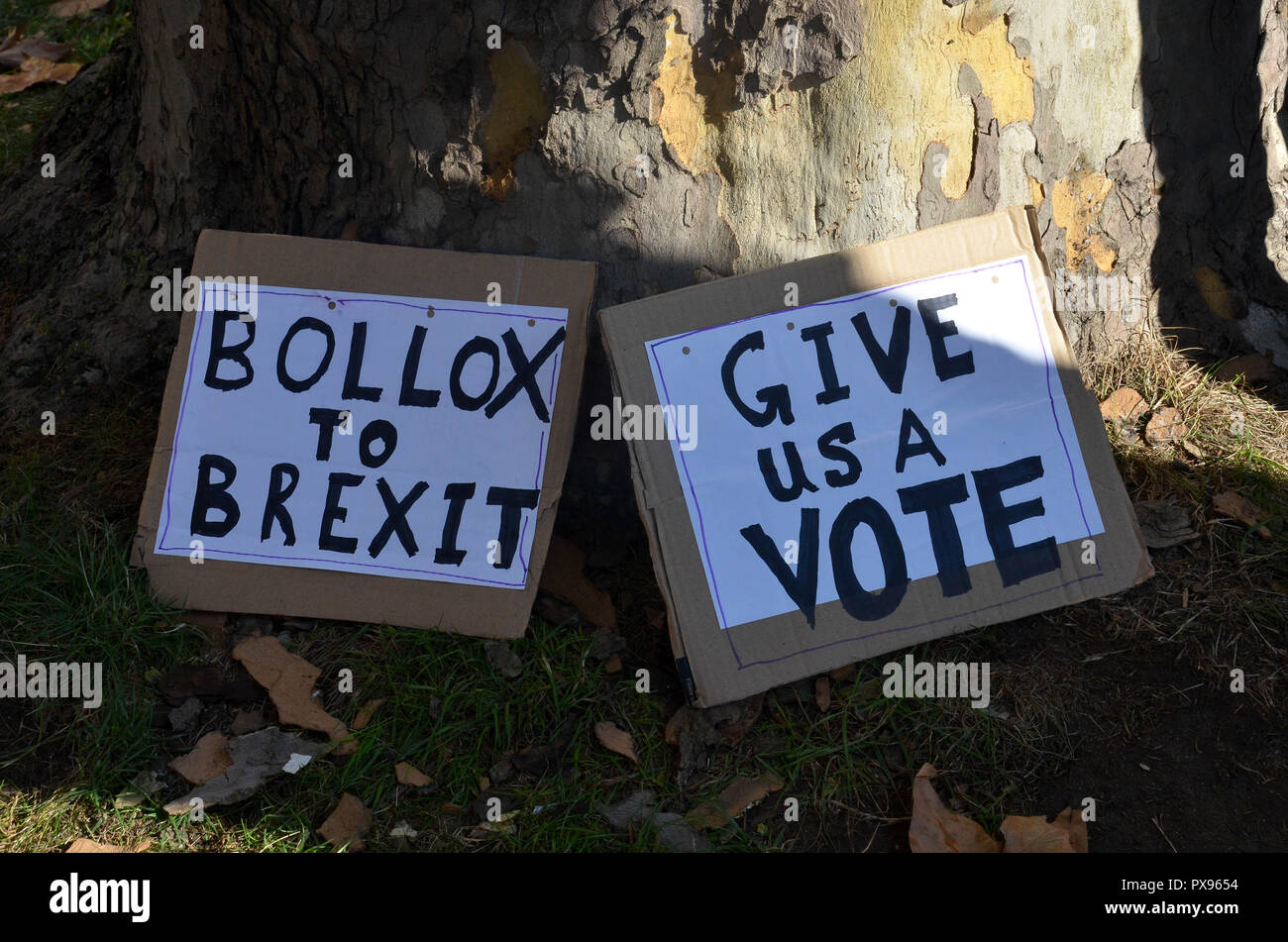 Londres, Reino Unido. 20 Oct, 2018. Los signos en el suelo, 'March para el futuro", rally pidiendo un segundo referéndum sobre la UE Brexit organizado por el voto popular campaña, Londres, 20 de octubre de 2018 Créditos: Robert Smith/Alamy Live News Foto de stock