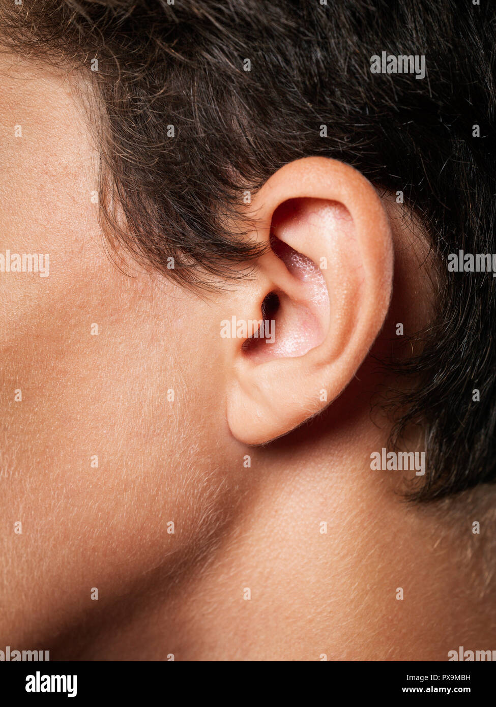Cerca del oído humano Foto de stock