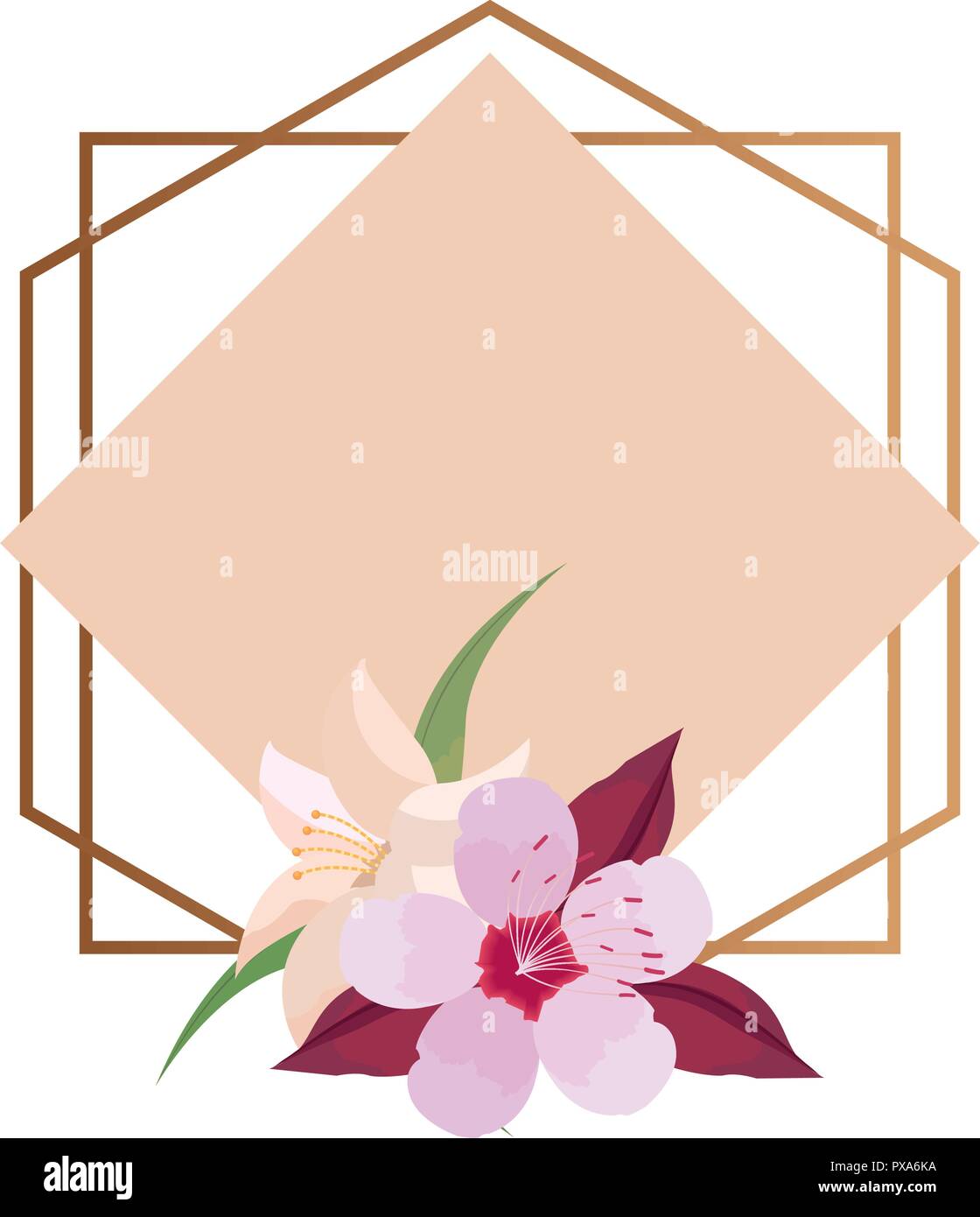 La plantilla de la portada frontera flores decoración ilustración vectorial Imagen Vector de stock - Alamy La plantilla de la portada frontera flores decoración ilustración vectorial Imagen Vector de stock - Alamy