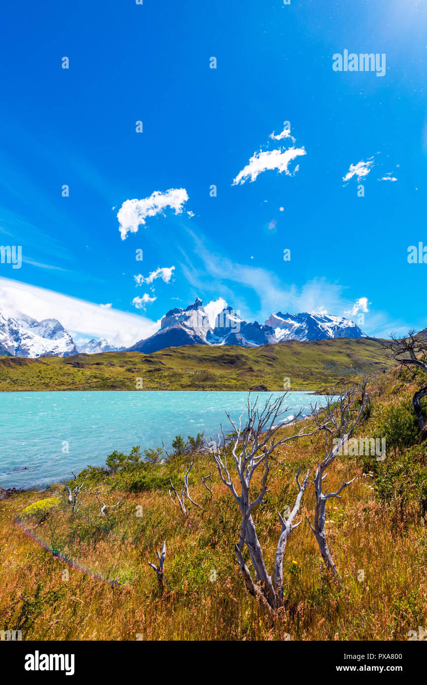 Lago Pehoe, Parque Nacional Torres del Paine en la Patagonia, Chile,  Sudamérica. Espacio para copiar texto. Vertical Fotografía de stock - Alamy