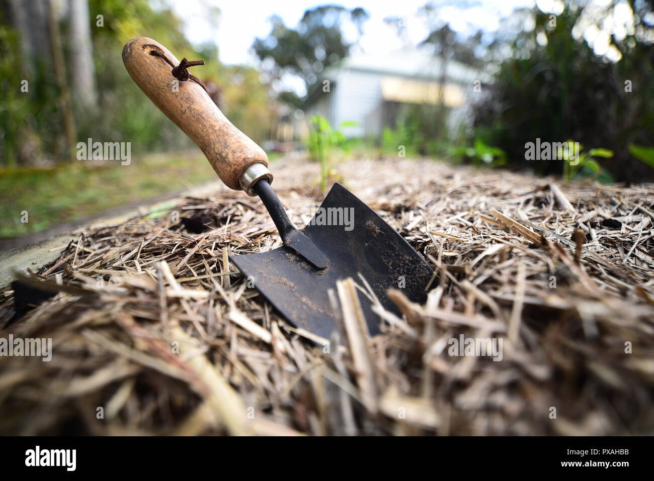 Una pequeña pala de mano en un veggie garden Foto de stock