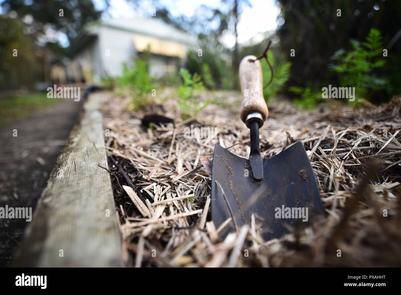 Una pequeña pala de mano en un veggie garden Foto de stock