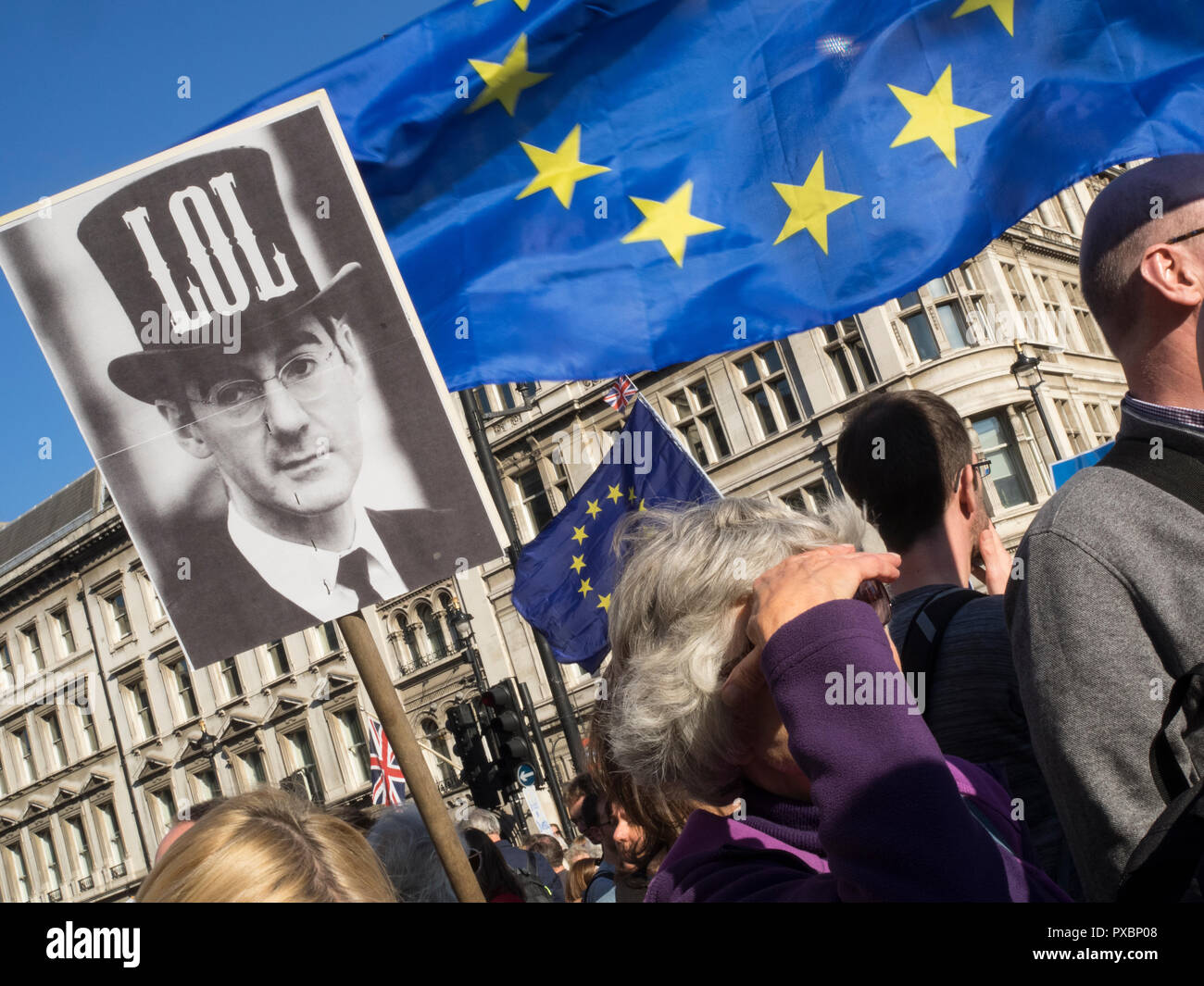 Los partidarios del Partido Conservador contra Brexit en los pueblos de marzo para un segundo referéndum sobre la adhesión a la UE Foto de stock