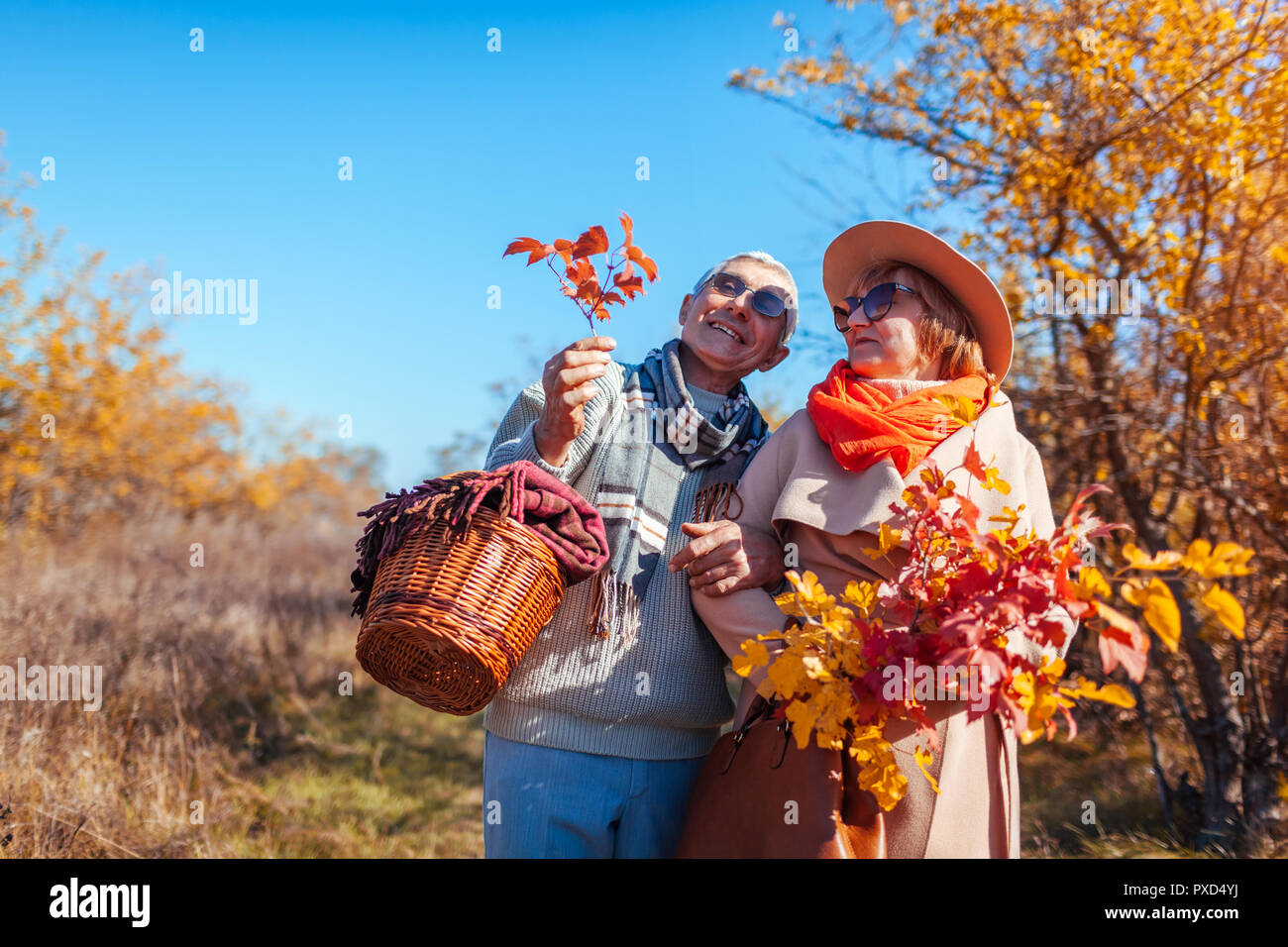 Las parejas ancianas caminar en otoño del bosque. Hombre de mediana edad y la mujer abrazándolo y escalofriante al aire libre. Gente hablando y disfrutar de la naturaleza Foto de stock