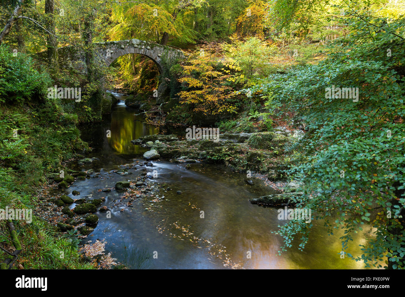 Newcastle, N.Ireland, 21 de octubre, 2018. El clima del REINO UNIDO: Sunny intervalos en la tarde después de una gris mañana húmeda. Encantador para una caminata por la tarde alrededor de Tollymore Park para disfrutar de los colores del otoño. Foley's puente sobre el río Shimna. Crédito: Ian Proctor/Alamy Live News Foto de stock