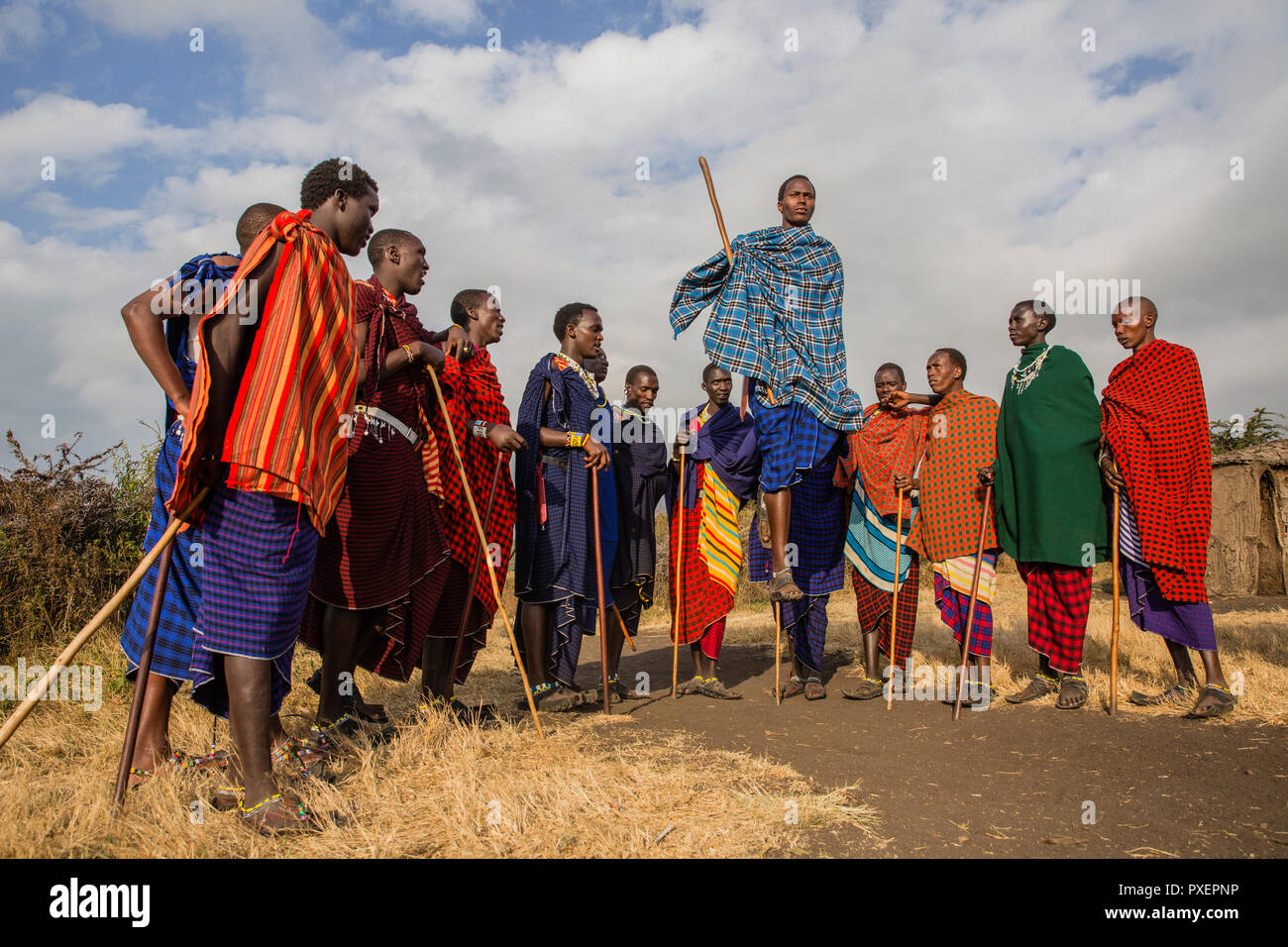 Massai saltando ceremonia (Adamu) en el cráter del Ngorongoro en Tanzania Foto de stock