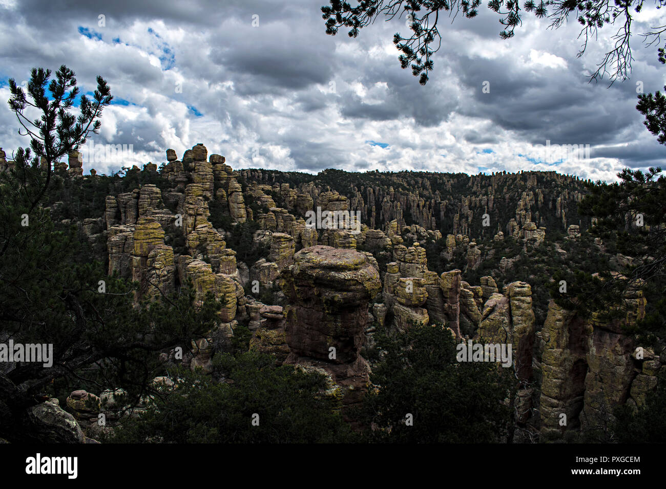 El Monumento Nacional Chiricahua, Arizona, EE.UU. Foto de stock