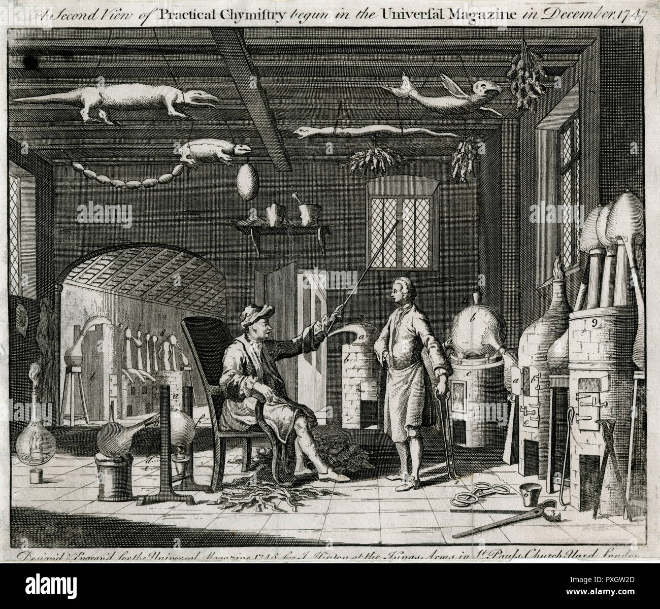 Un químico en su laboratorio, rodeado de aparatos y animales muertos colgando del techo. Fecha: 1747 Foto de stock