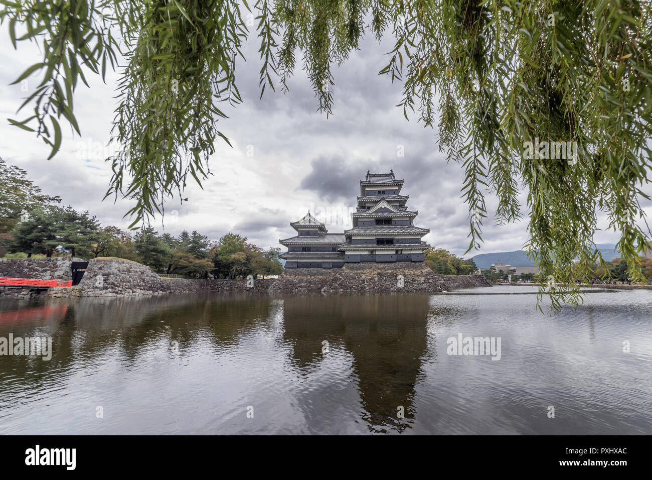 El castillo Matsumoto y hojas de sauce, Nagano, Japón Foto de stock