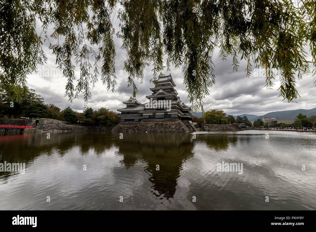 El castillo Matsumoto con ramas de sauce, Nagano, Japón Foto de stock