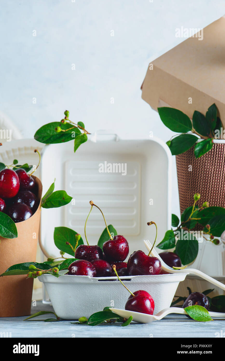 Eco-embalaje de alimentos con las cerezas. Blanco, platos y otros recipientes desechables catering sobre un fondo gris neutro con espacio de copia. Prese Foto de stock