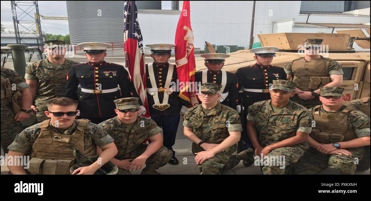 Reserva asignado al destacamento de Marines Empresa de soporte, 4º Batallón de Represión participaron en el Desfile anual de Blue Goose el sábado, 3 de junio. El Blue Goose Parade es el evento culminante de tres días de celebración de primavera entre las ciudades de Wahpeton, Dakota del Norte, Minnesota y Breckenridge. Desapego Support Company, con sede en Wahpeton, siempre que el color del desfile de guardia, así como dos vehículos tácticos, y caminó a lo largo de la ruta del desfile, antes de organizar sus vehículos tácticos en el Chahinkapa Zoo. Primera fila: el Sargento Waterworth, LCpl Bugbee, Cpl, LCpl Dejarlais Pringle, L Foto de stock