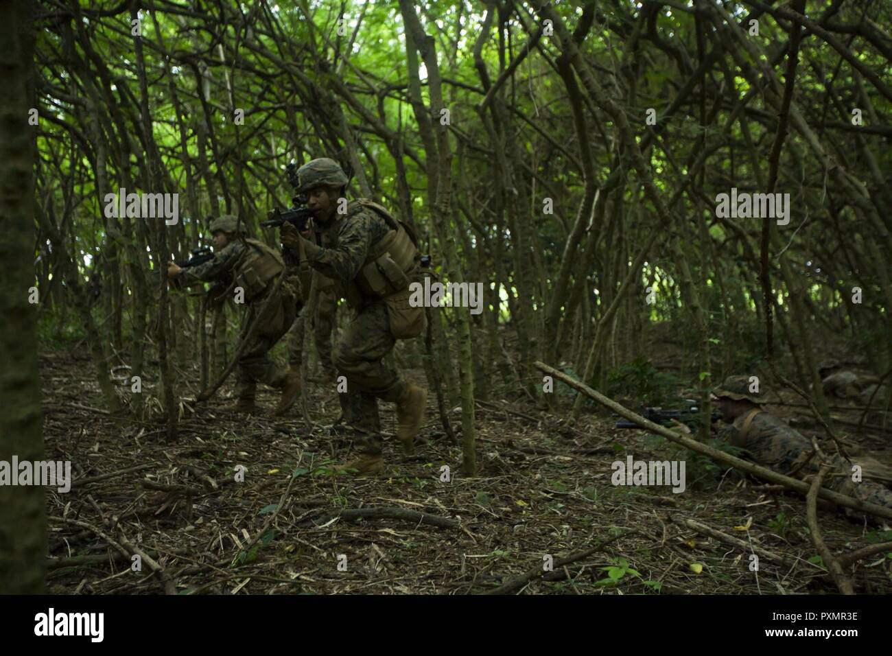 Los Marines de EE.UU. asignados a l empresa, 3D, 3d Batallón Regimiento de la Infantería de Marina, empujar a través del enemigo durante un ataque de contador para ejercer Bougainville 1-17,2 en el área de capacitación del Cuerpo de Infantería de Marina fuelles, el 17 de junio. 2017. Bougainville es un ejercicio realizado para mejorar la eficacia y la letalidad del batallón como fuerza de voluntad. Foto de stock