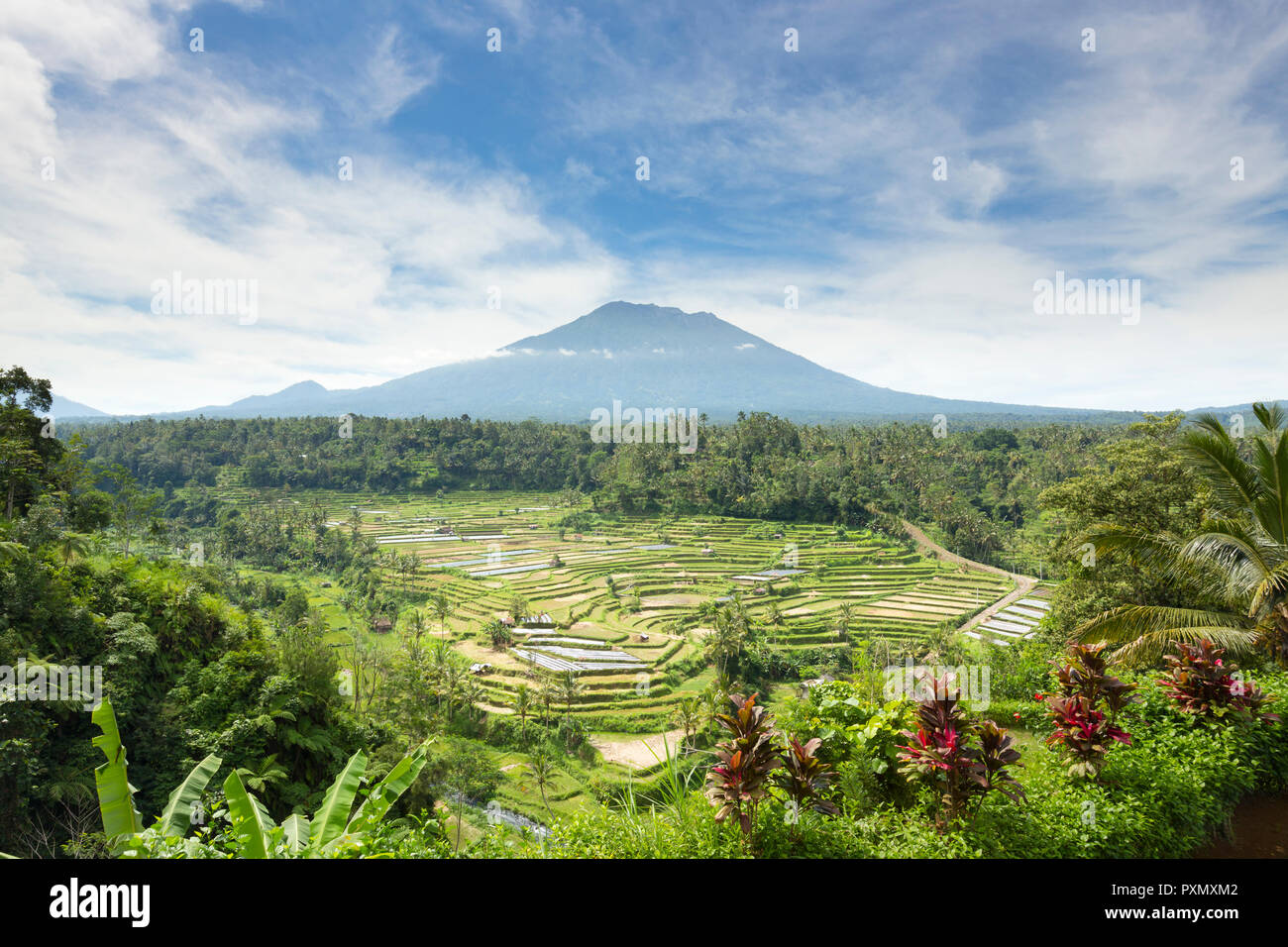 Vista de las terrazas de arroz y el Volcán Gunung Agung, Rendang, Bali, Indonesia Foto de stock