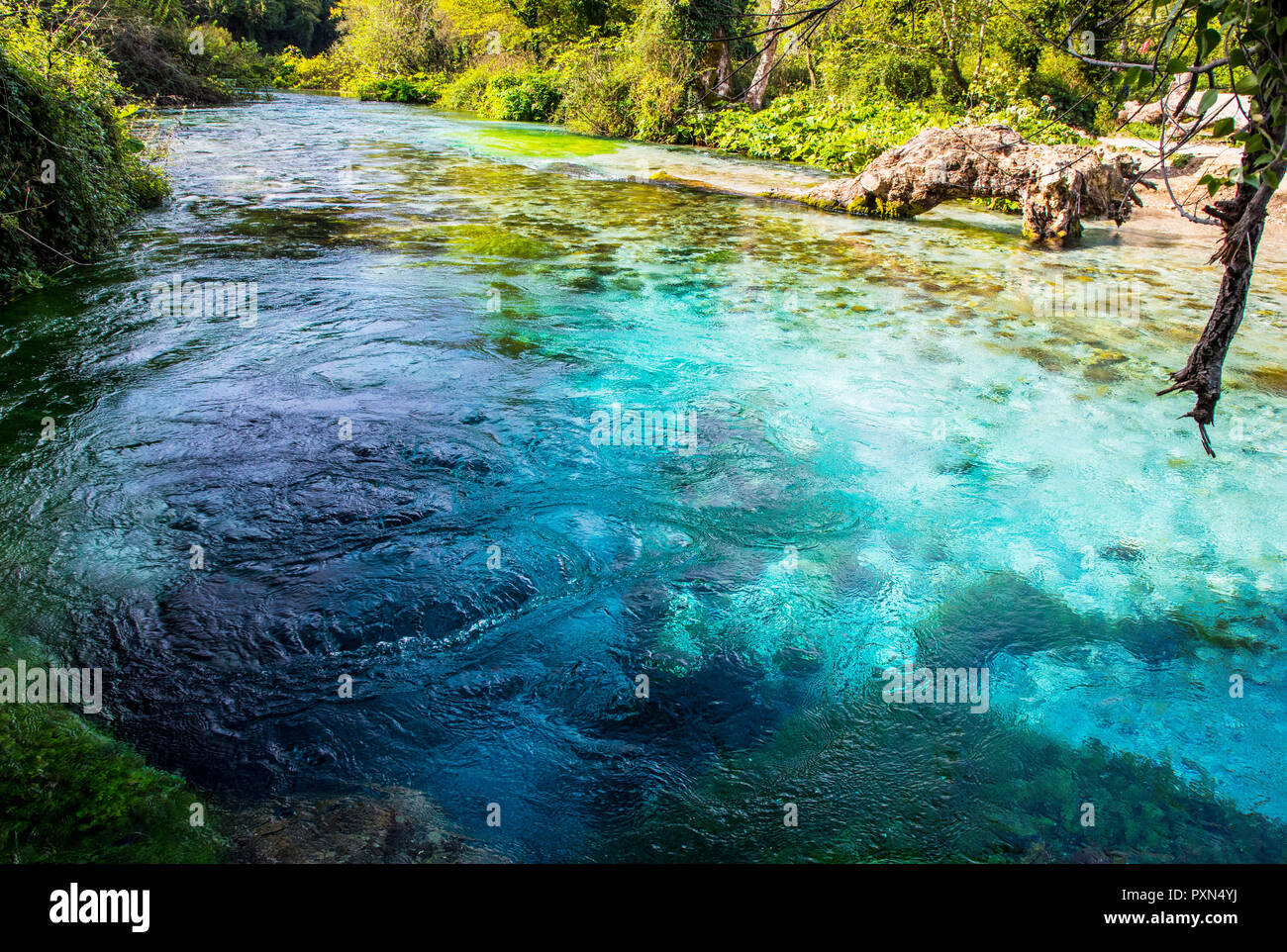 El azul de los ojos - Syri i Kaltër, cerca del manantial de agua Muzinë en Vlorë County, en el sur de Albania, Europa Foto de stock