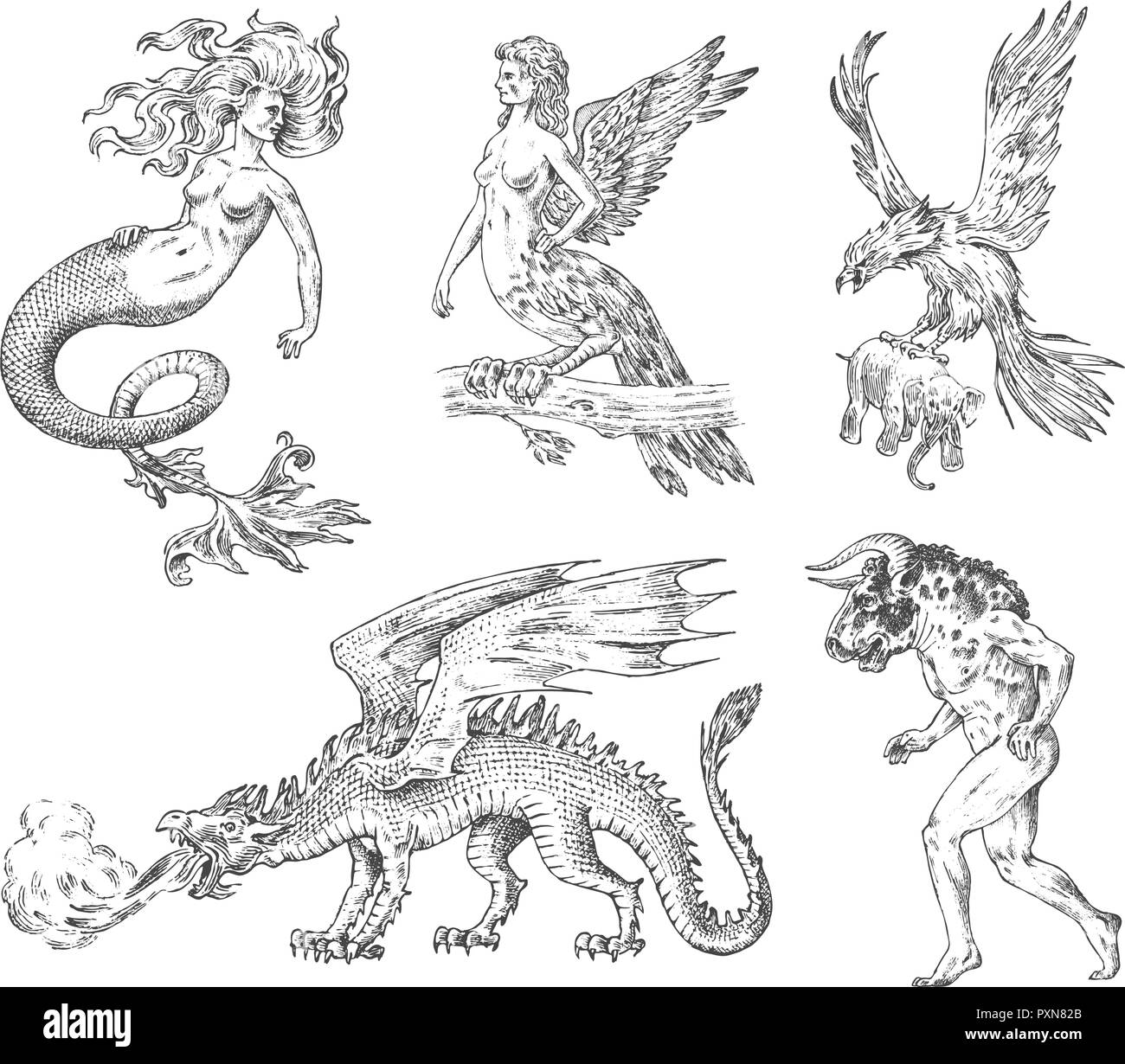 Conjunto de los animales mitológicos. Mermaid Minotauro dragón chino Arpía mítico Griffin Basilisk Roc Mujer pájaro. Las criaturas griegas. Grabados Antiguos dibujados a mano vintage sketch. Ilustración del Vector