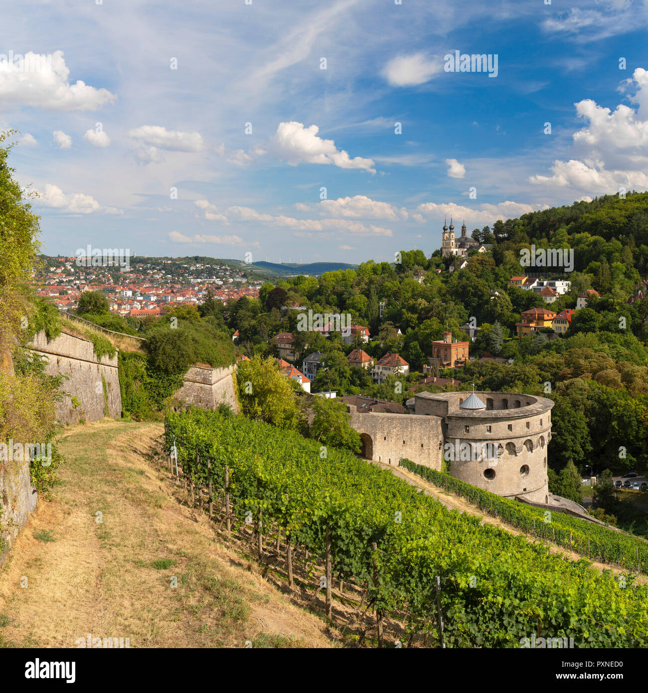 Paredes de Marienberg Fortress y viñedos, Wurzburg, Baviera, Alemania Foto de stock